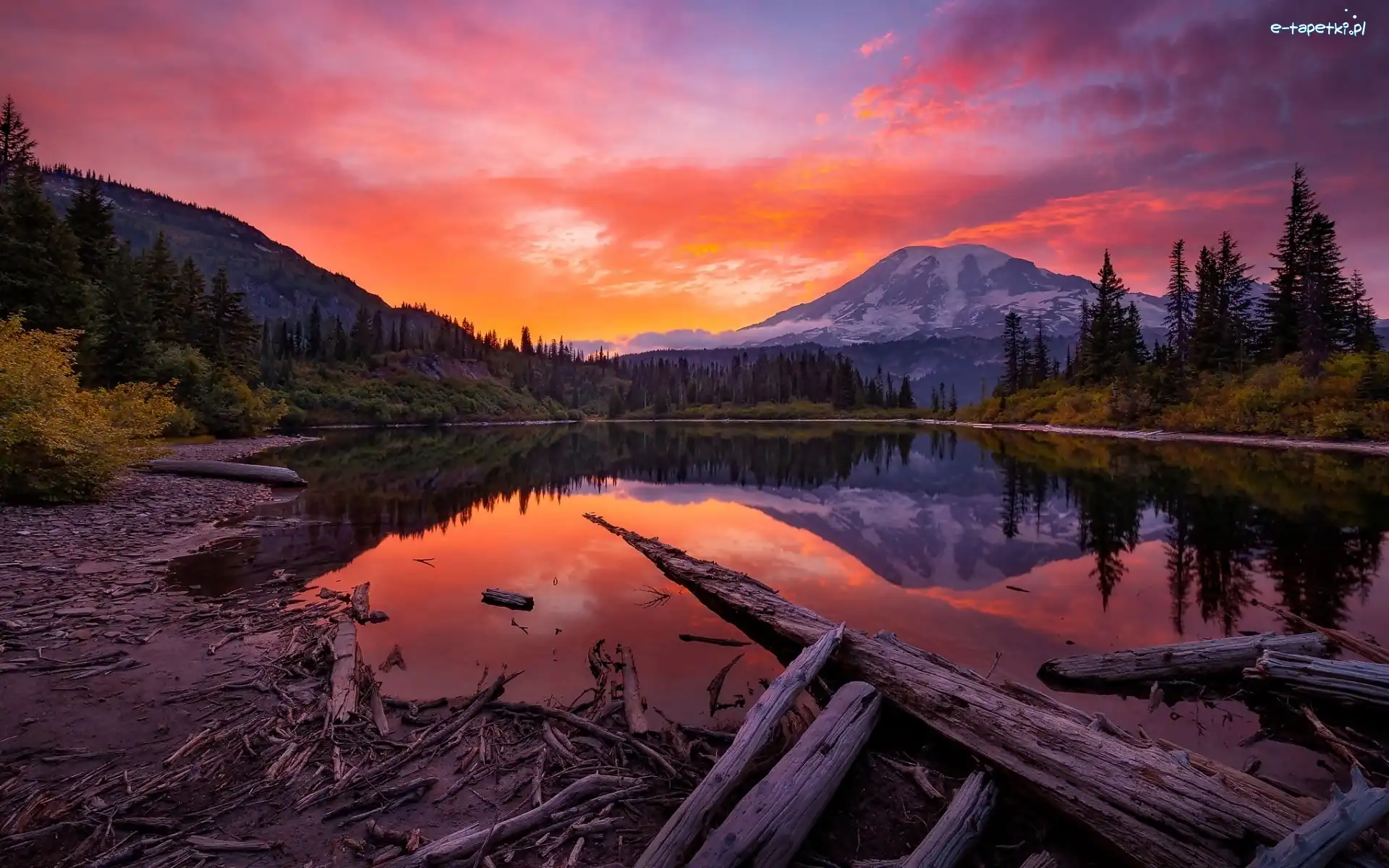Drzewa, Waszyngton, Zachód słońca, Lasy, Góra, Stratowulkan Mount Rainier, Jezioro, Stany Zjednoczone, Park Narodowy Mount Rainier, Kłody