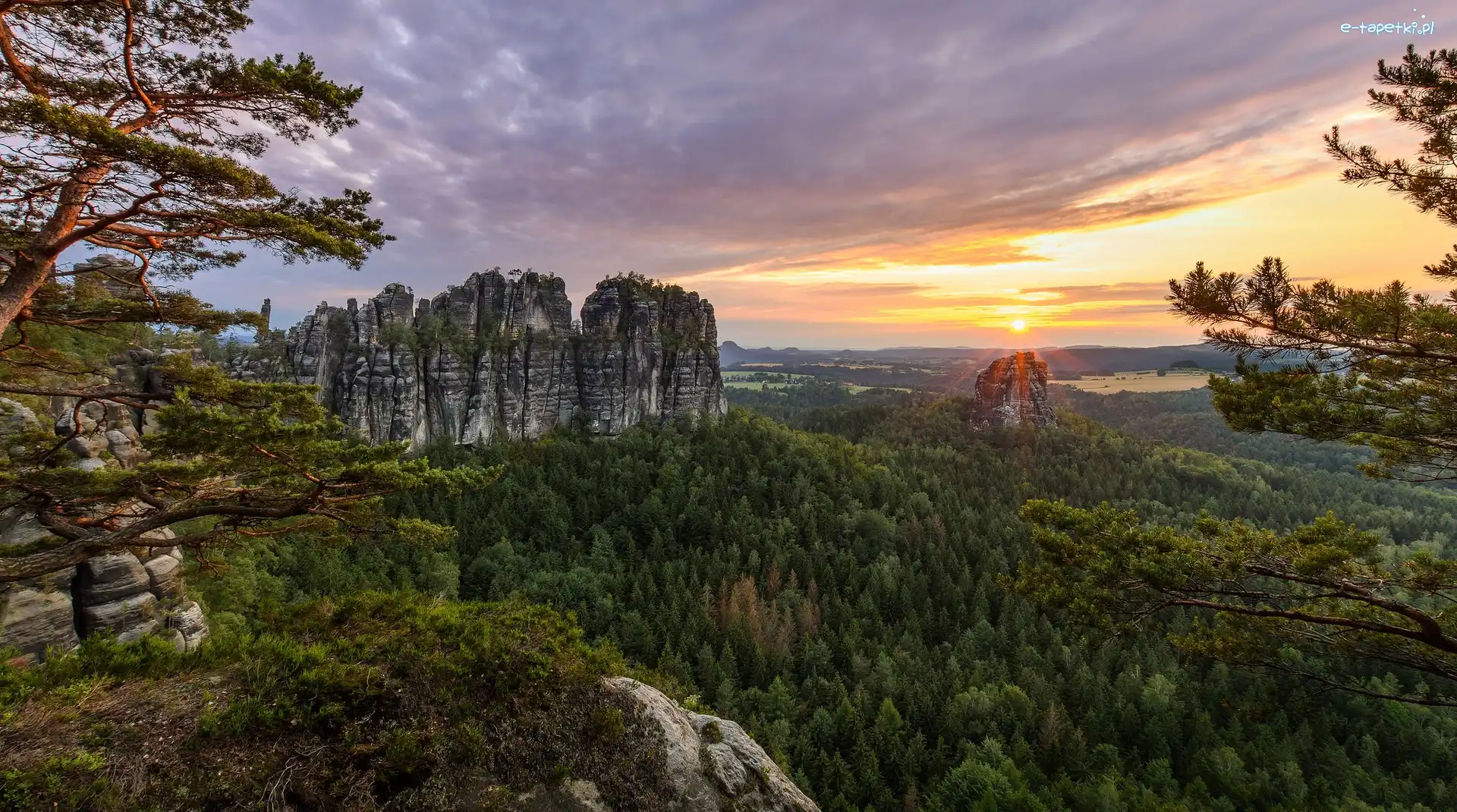 Formacja Bastei, Park Narodowy Saskiej Szwajcarii, Sosna, Wschód słońca, Skały, Góry Połabskie, Lasy, Niemcy