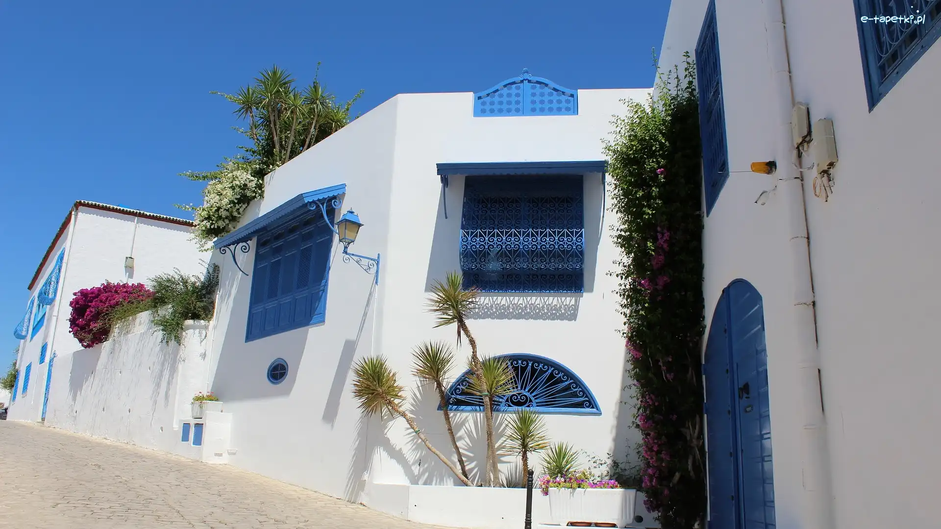 Tunezja, Niebieskie, Okna, Dom, Biały, Sidi Bou Said, Drzwi