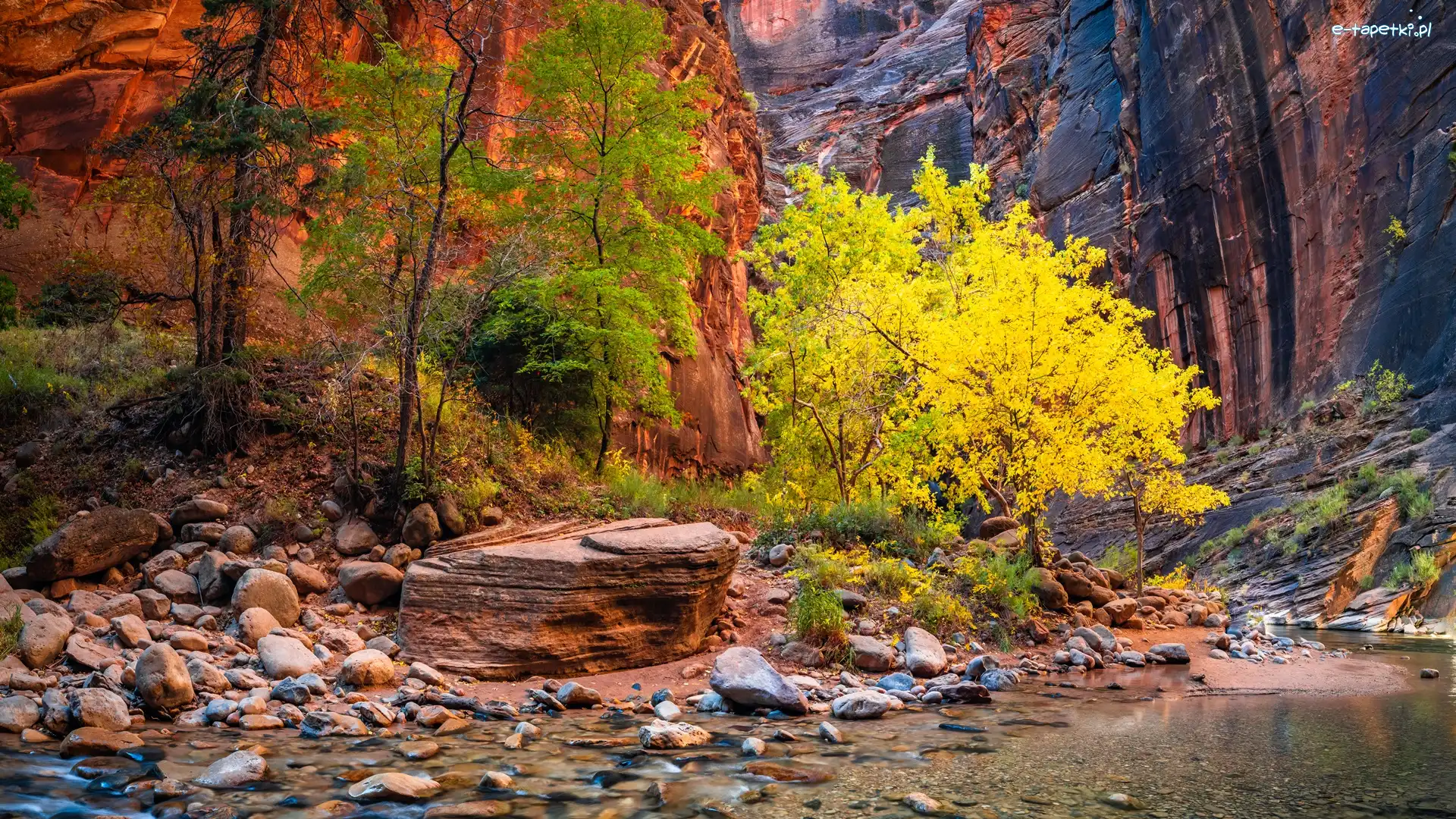 Drzewa, Skały, Park Narodowy Zion, Stan Utah, Stany Zjednoczone, Roślinność, Rzeka Virgin River, Kanion Zion Narrows, Kamienie