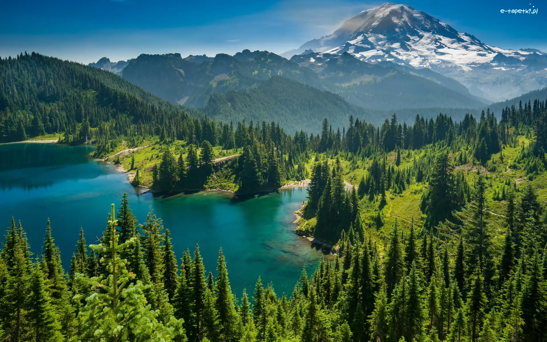 Park Narodowy Mount Rainier, Drzewa, Stany Zjednoczone, Eunice Lake, Góra, Mount Rainier, Jezioro, Las, Góry Kaskadowe, Stan Waszyngton