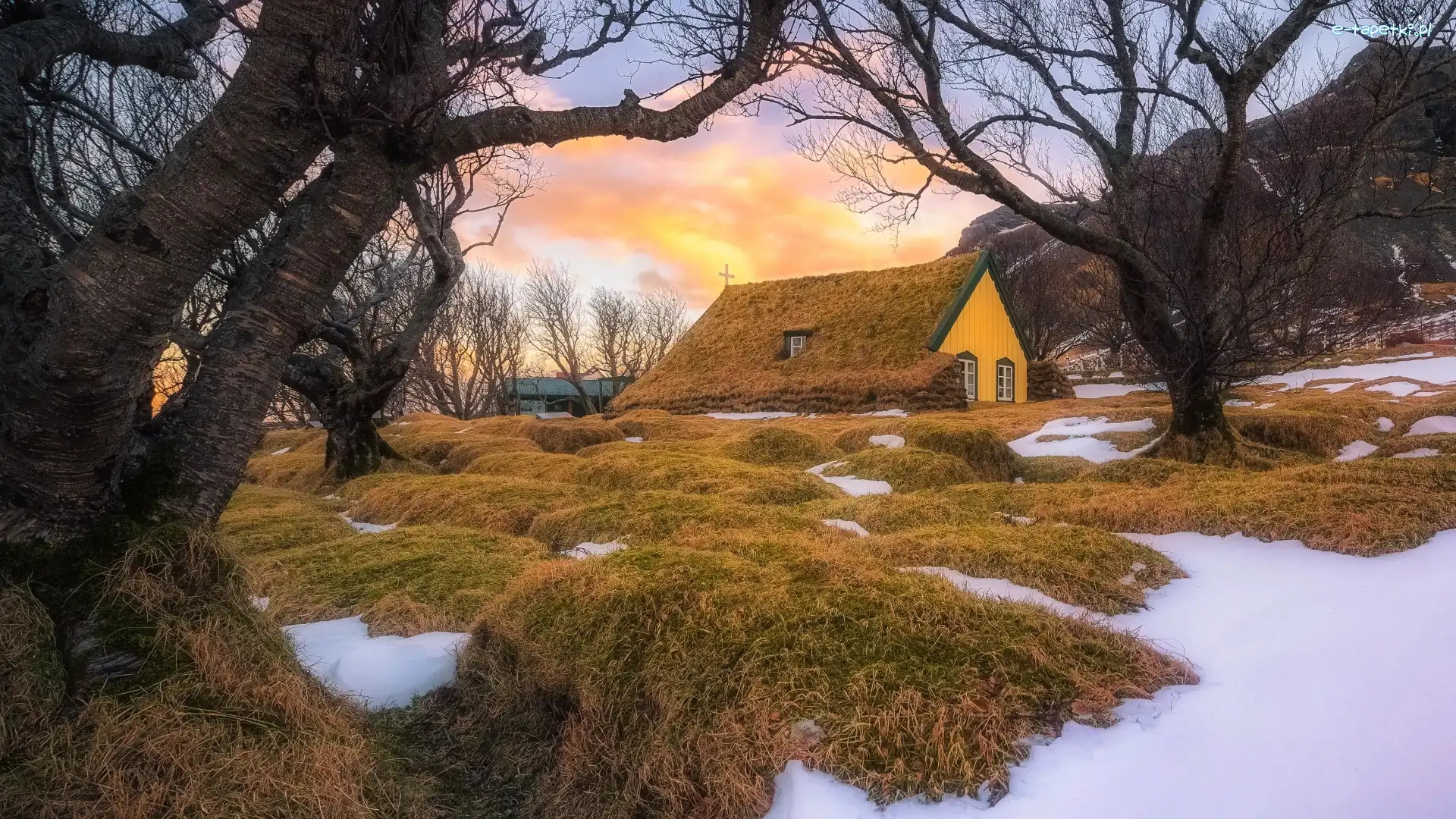 Hof, Kościół Hofskirkja, Islandia, Osada, Trawy, Drzewa, Śnieg, Budynek, Góry, Gmina Hornafjordur