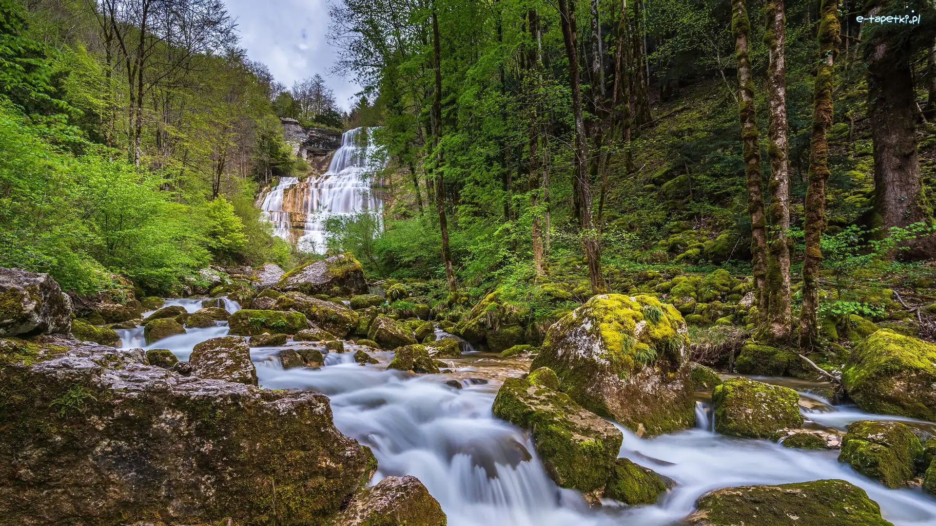 Drzewa, Kaskada, Francja, Menetrux en Joux, Las, Kamienie, Skały, Rzeka Herisson