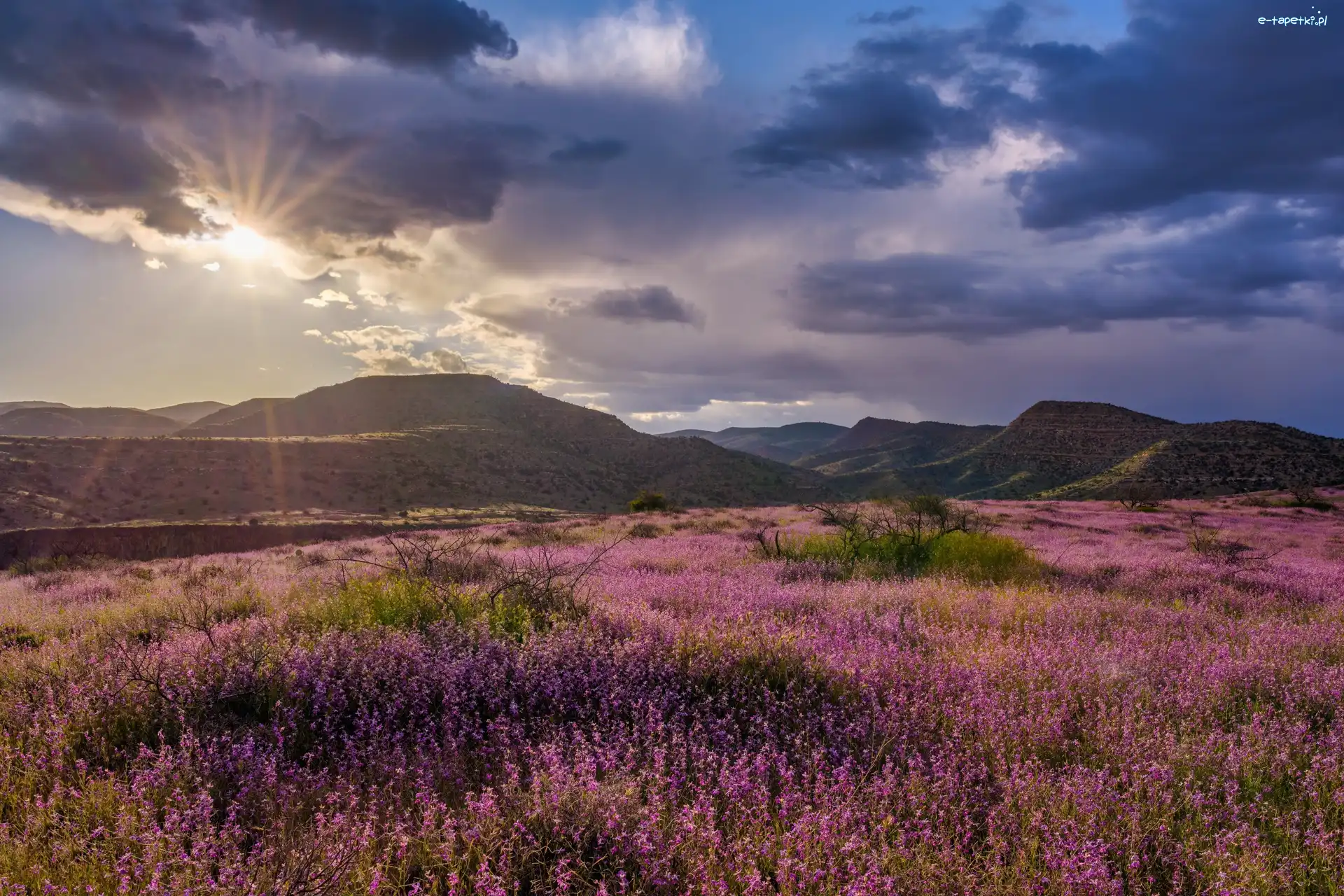 Słońce, Góry, Stany Zjednoczone, Arizona, Chmury, Wzgórza, Clarkdale, Łąka