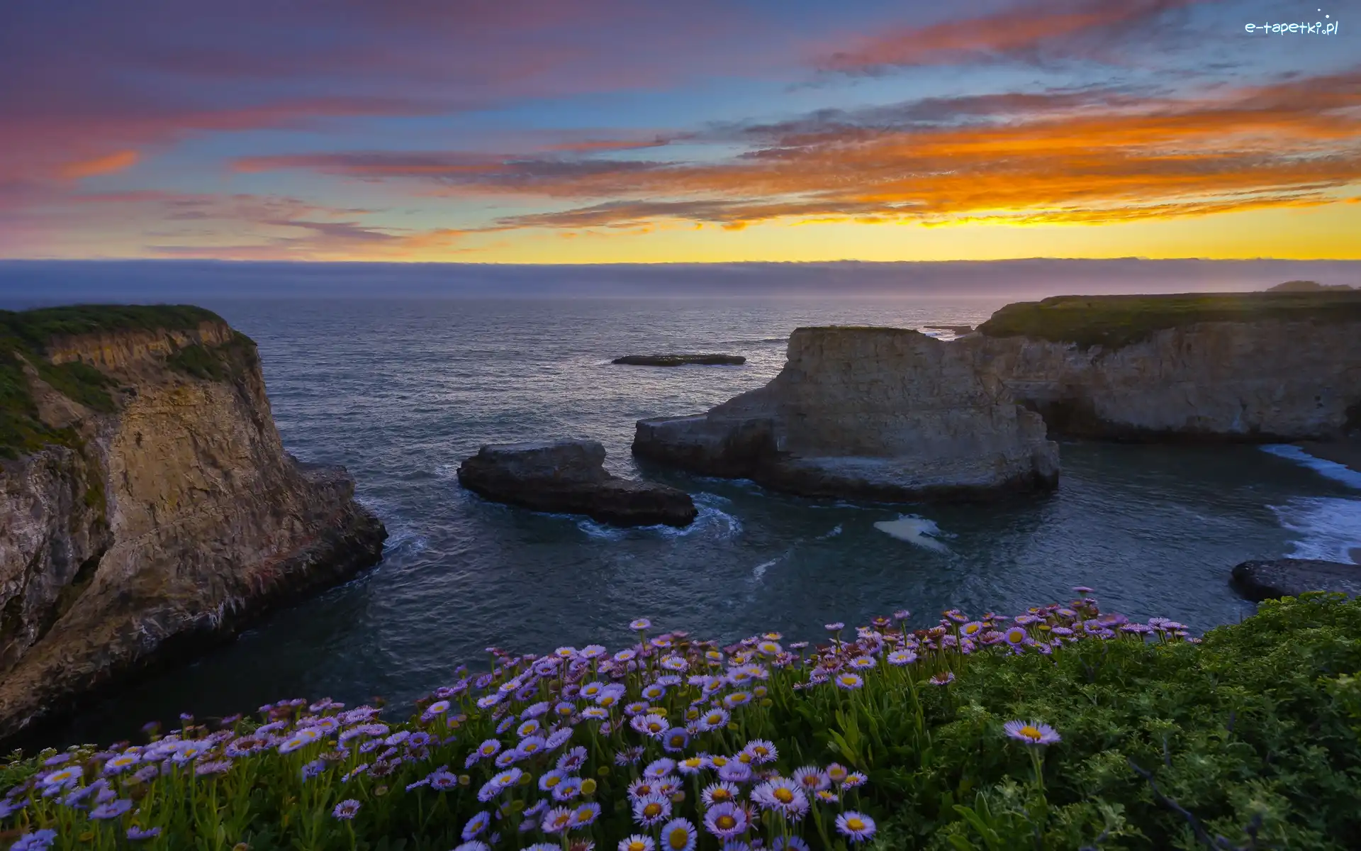 Hrabstwo Santa Cruz, Ocean Spokojny, Stany Zjednoczone, Davenport, Skały, Kwiaty, Zachód słońca, Morze, Wybrzeże, Kalifornia