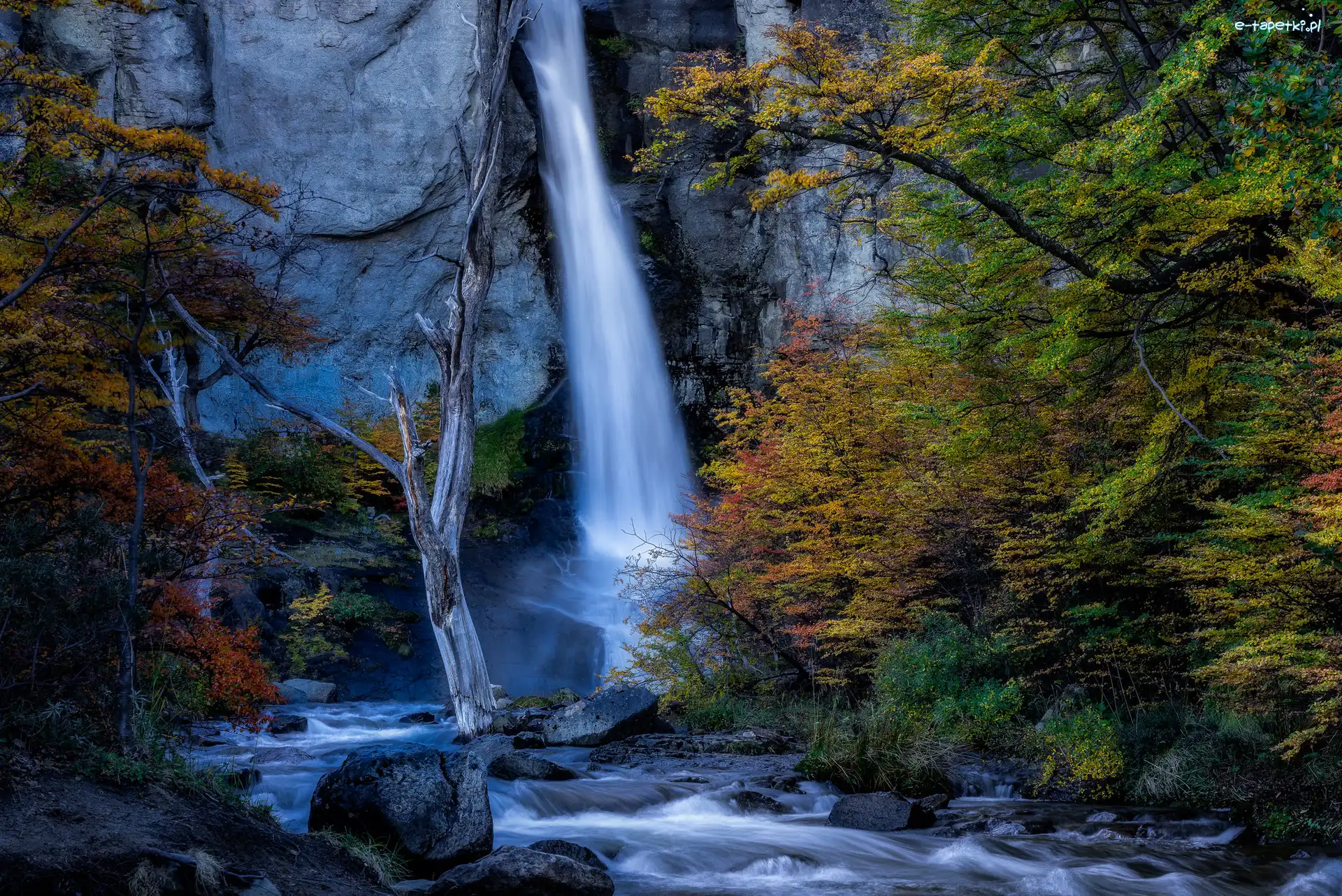 Drzewa, Chorrillo del Salto, Argentyna, Park Narodowy Los Glaciares, Skała, Rzeka, Kamienie, Wodospad