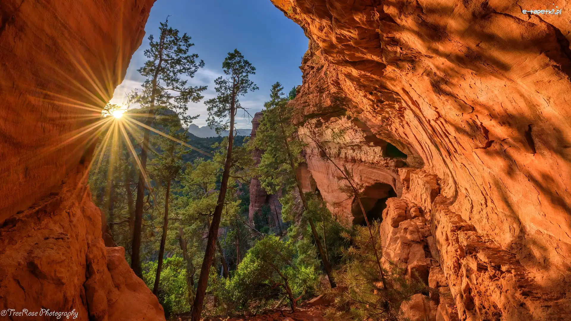 Arizona, Promienie słońca, Sedona, Stany Zjednoczone, Sosny, Skały
