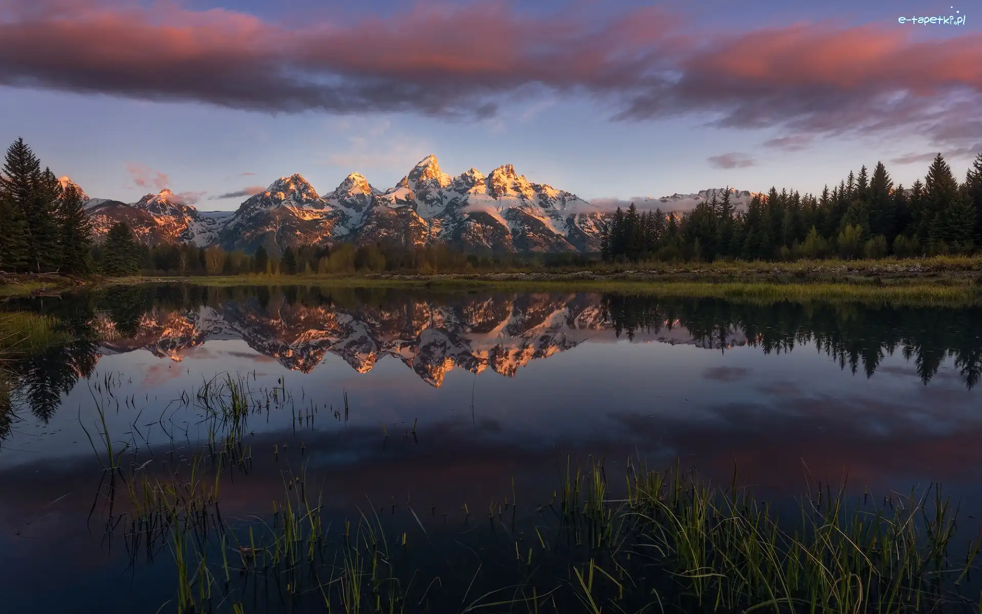Drzewa, Stan Wyoming, Odbicie, Las, Ośnieżone, Góry Skaliste, Szczyt Grand Teton, Stany Zjednoczone, Park Narodowy Grand Teton, Jezioro