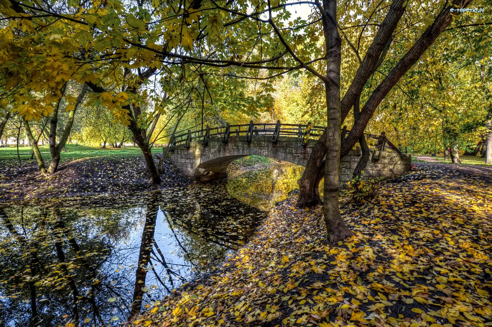 Park, Drzewa, Jesień, Rzeka, Most