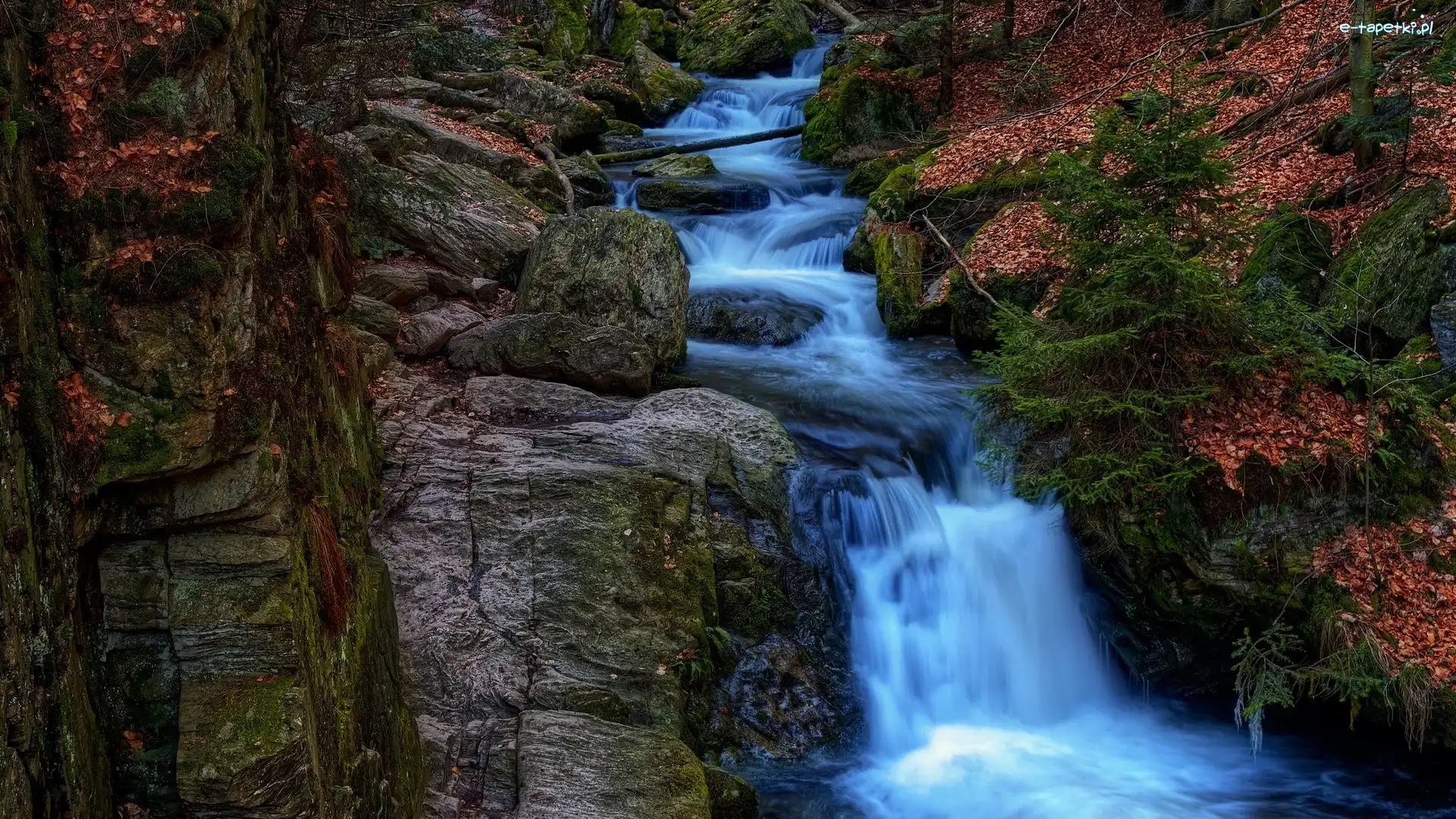 Skały, Resov Falls, Czechy, Liście, Las, Rośliny, Brązowe, Wodospad