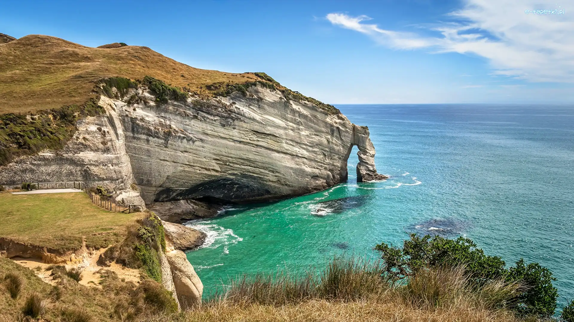 Cape Farewell Arch, Klif, Nowa Zelandia, Morze, Cypel, Skały, Rośliny, Wybrzeże
