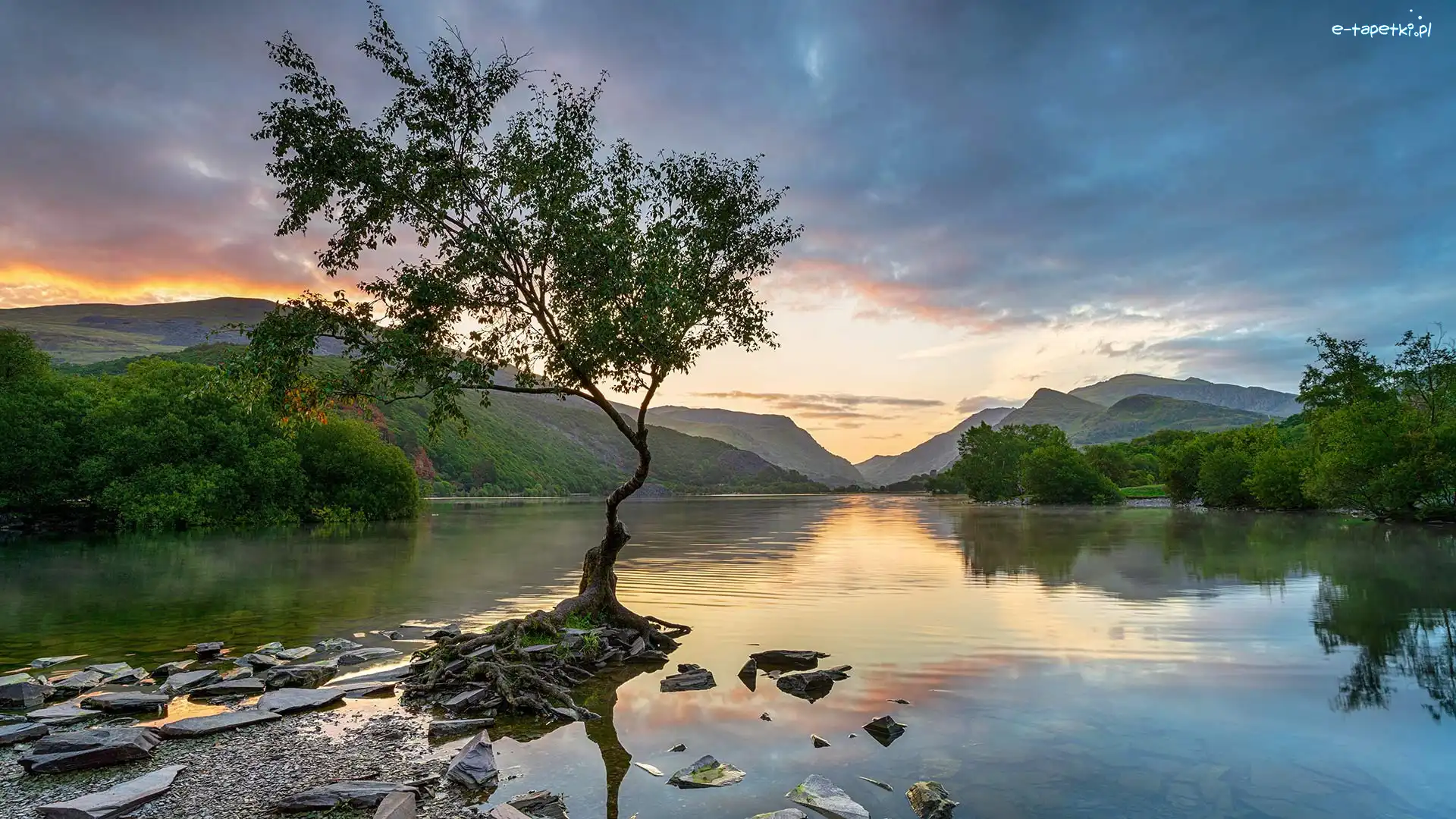Góry, Llyn Padarn, Park Narodowy Snowdonia, Walia, Wielka Brytania, Zachód słońca, Kamienie, Jezioro, Drzewo