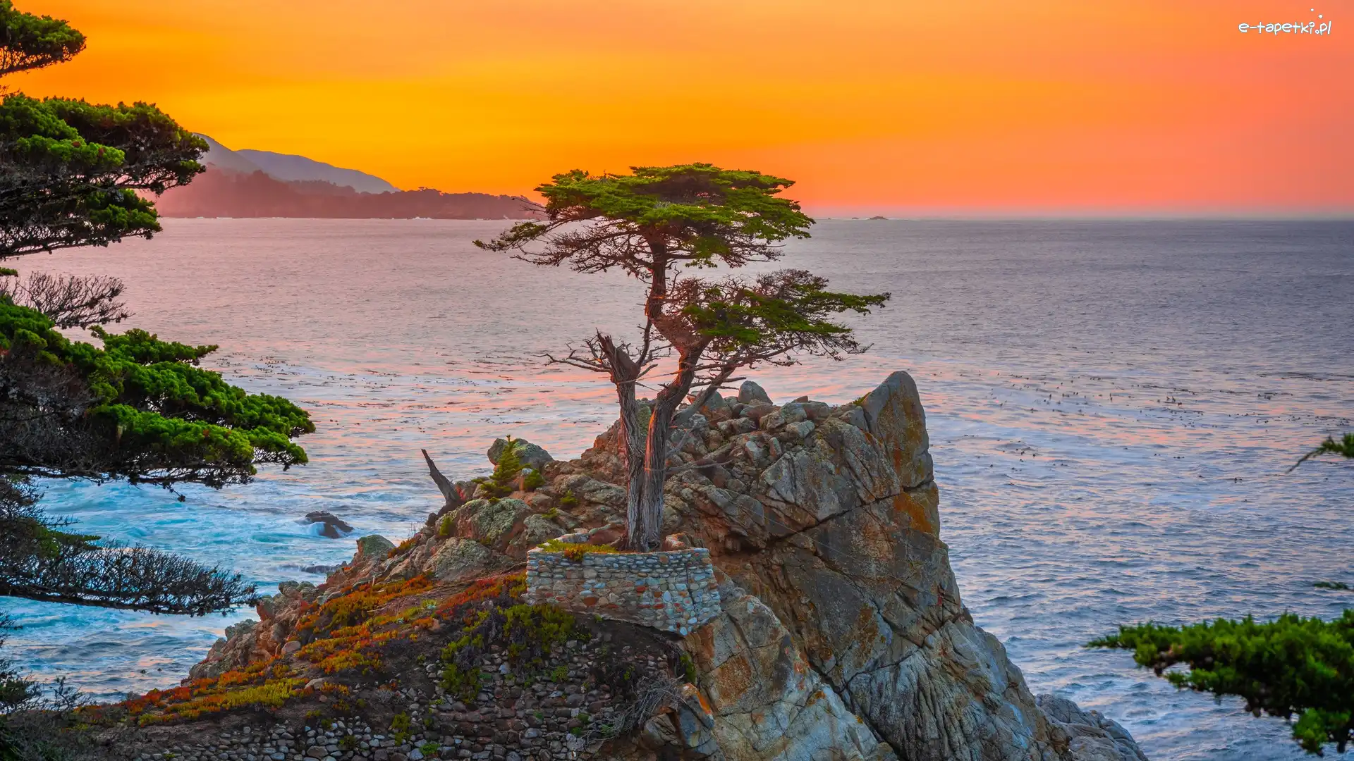 Morze, Atrakcja Lone Cypress, Stany Zjednoczone, Carmel Bay, Morze, Pebble Beach, Zatoka, Cyprys wielkoszyszkowy, Skała, Kalifornia