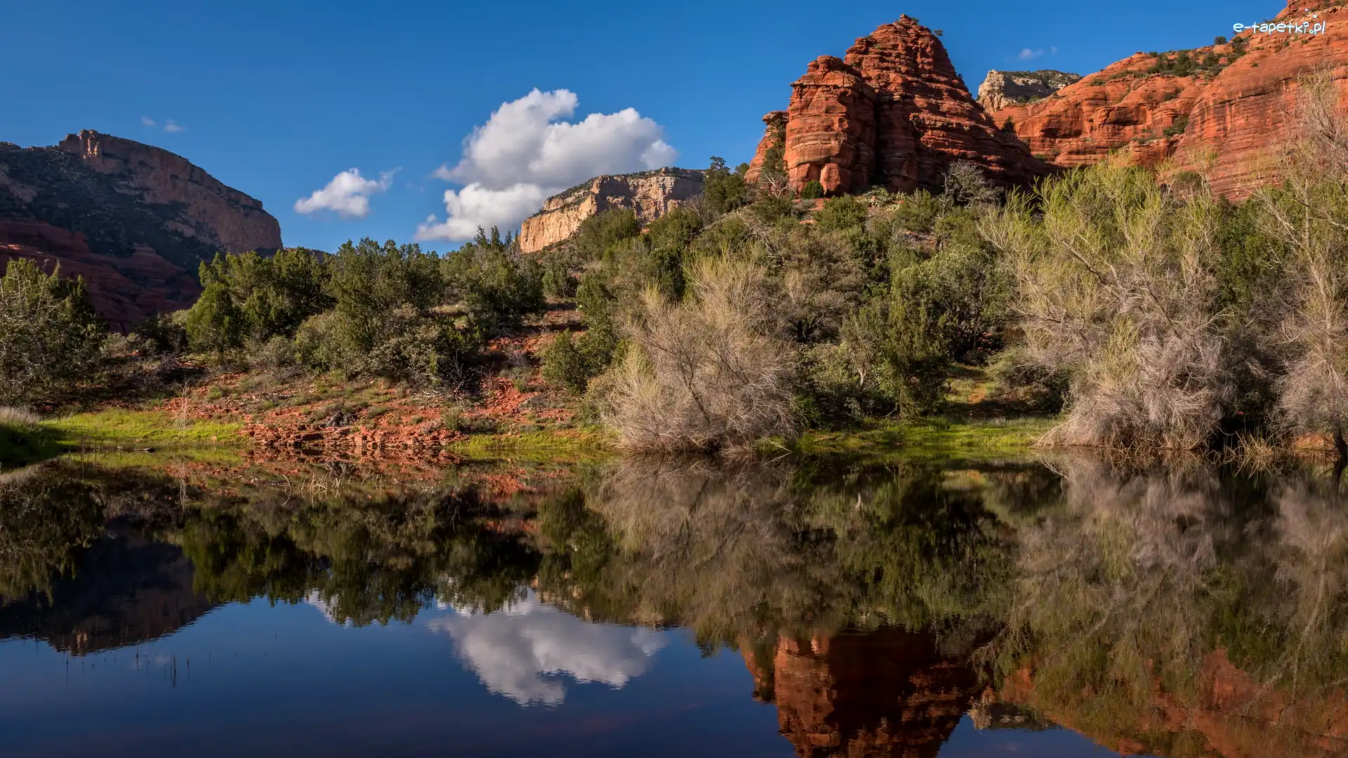 Drzewa, Skały, Stany Zjednoczone, Arizona, Krzewy, Jezioro, Sedona, Czerwone