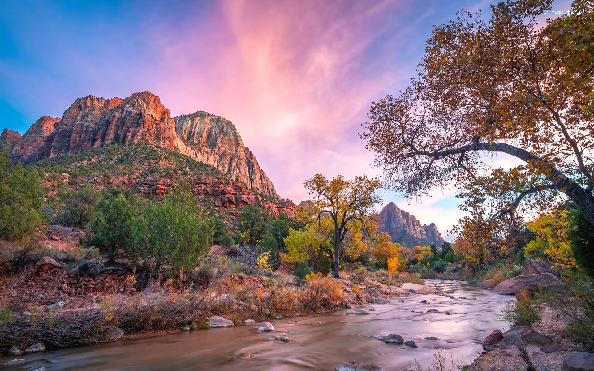 Kamienie, Virgin River, Drzewa, Góry Watchman, Park Narodowy Zion, Stany Zjednoczone, Stan Utah, Rzeka, Wschód słońca