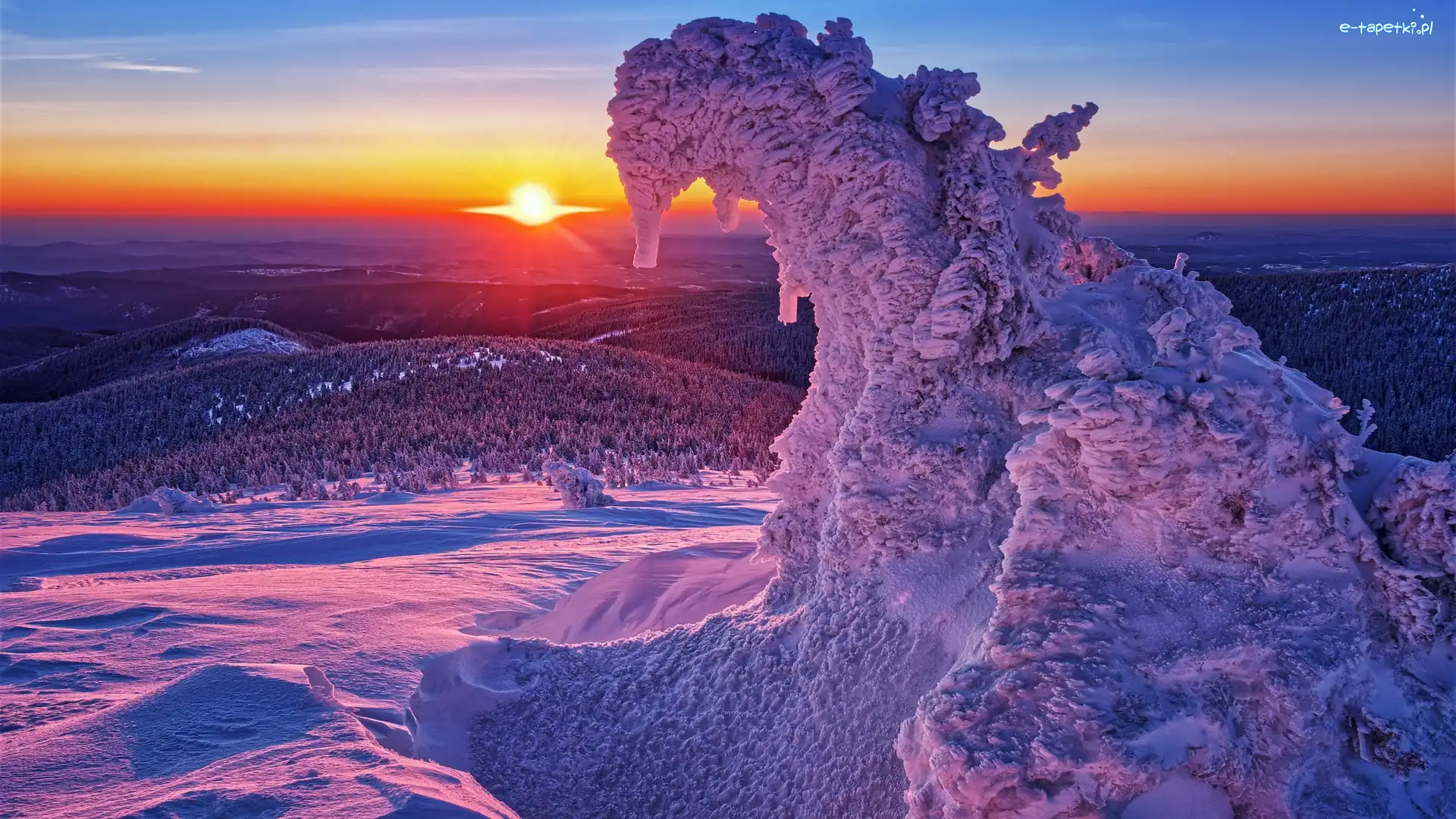 Zachód słońca, Ośnieżone Drzewo, Śnieg, Zima