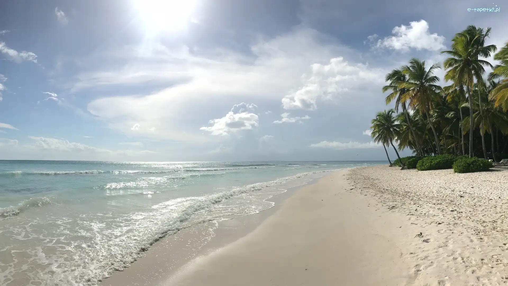 Palmy, Plaża, Morze, Promienie słońca, La Altagracia, Dominikana