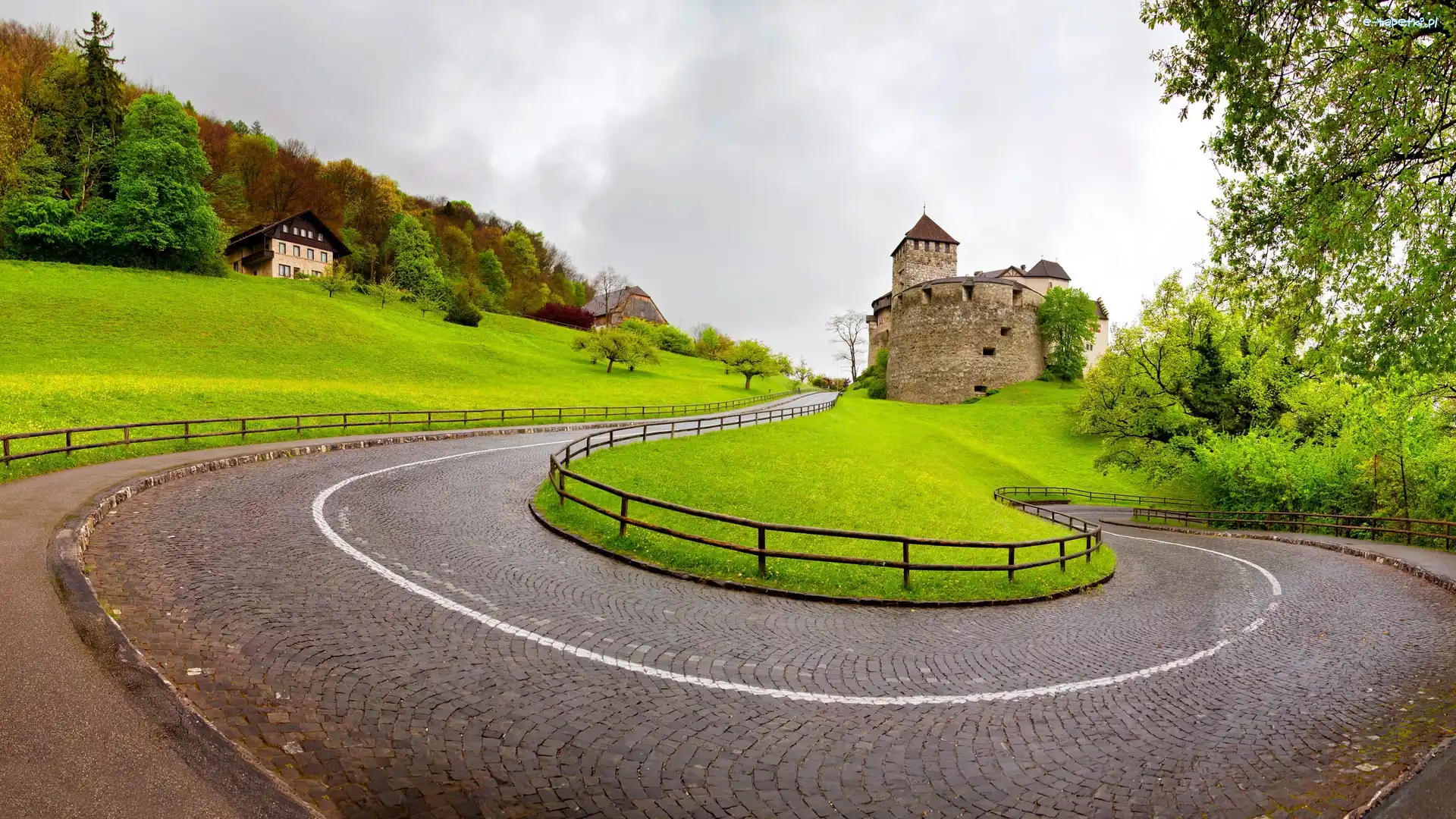 Droga, Vaduz, Zamek w Vaduz, Drzewa, Liechtenstein, Księstwo
