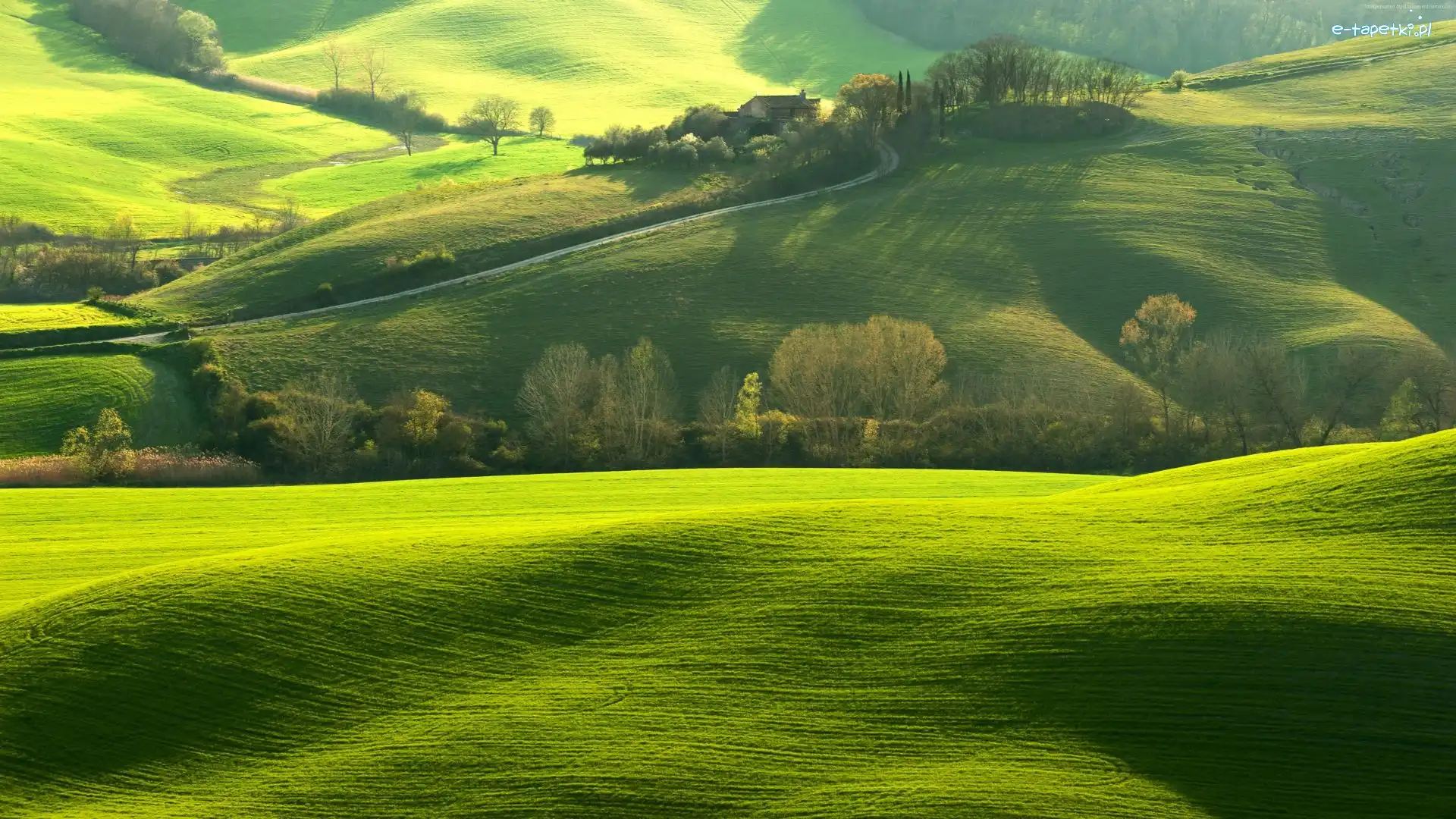 Toskania, Wzgórza, Włochy, Rozświetlone, Pola