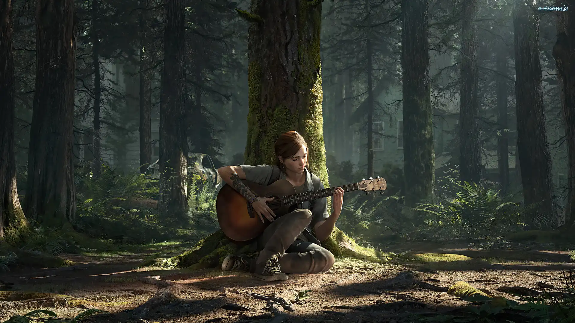 Drzewo, Kobieta, Gitara, Las, The Last of Us, Gra