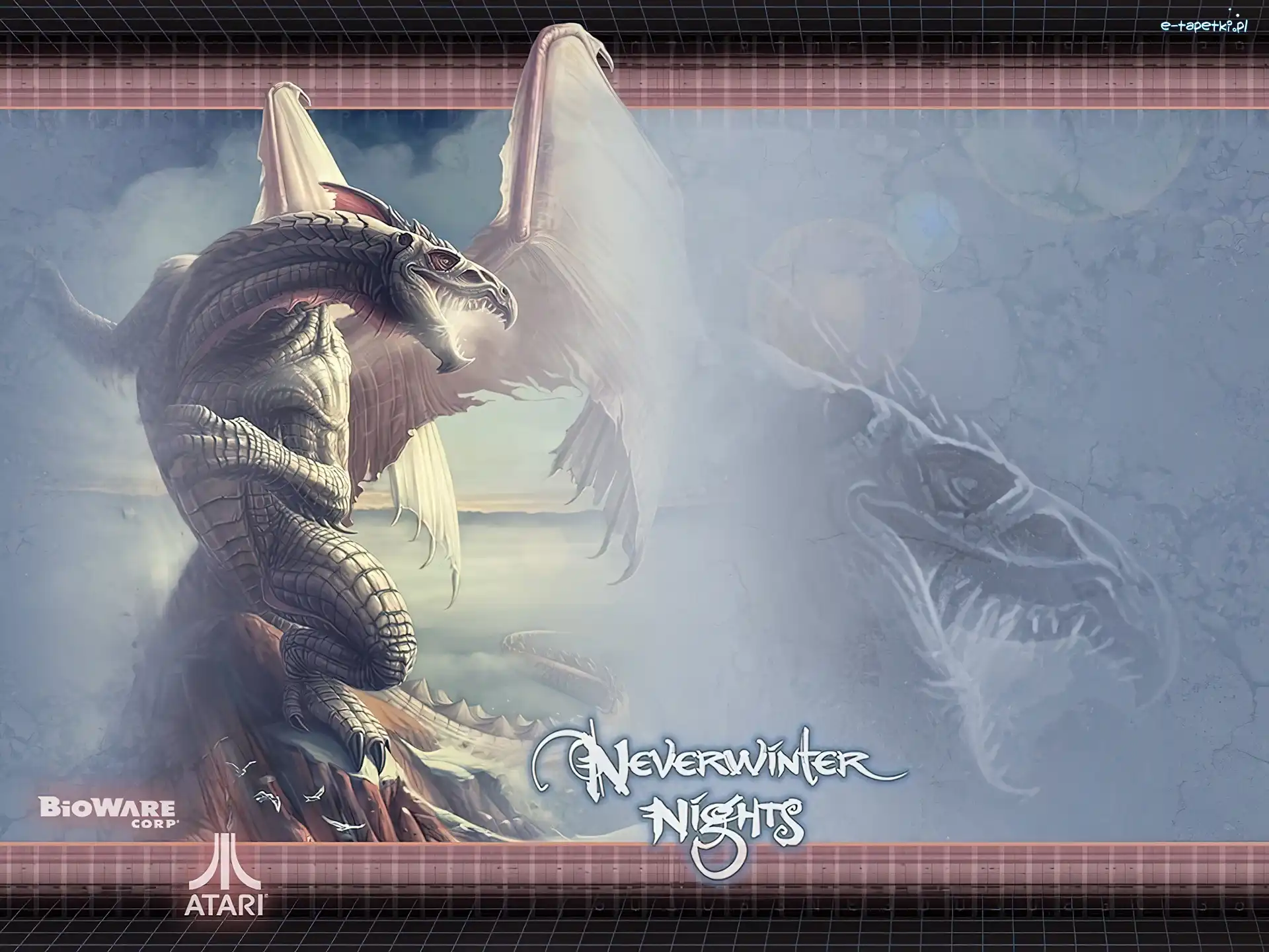 skrzydła, Nwn Hordes, logo, smok