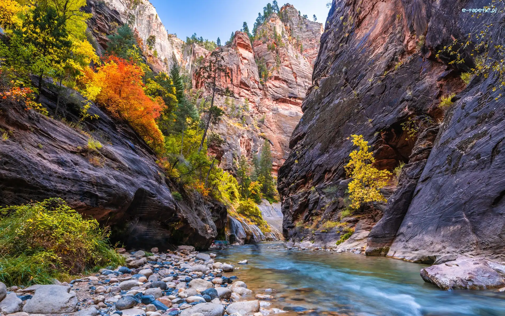 Rzeka Virgin River, Park Narodowy Zion, Kanion Zion Narrows, Stan Utah, Stany Zjednoczone, Roślinność, Skały