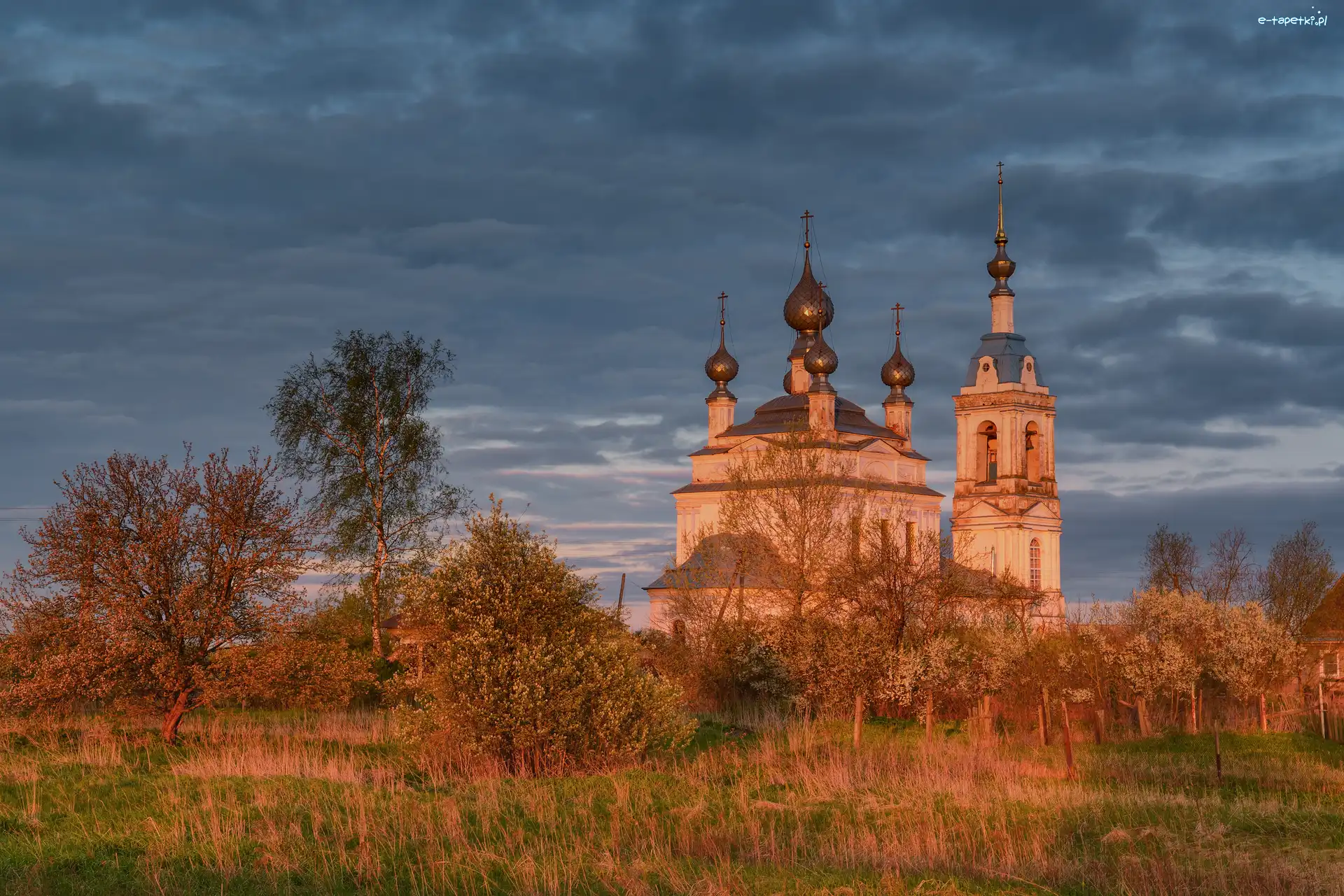 Rosja, Rośliny, Chmury, Drzewa, Cerkiew, Obwód jarosławski, Savinskoye