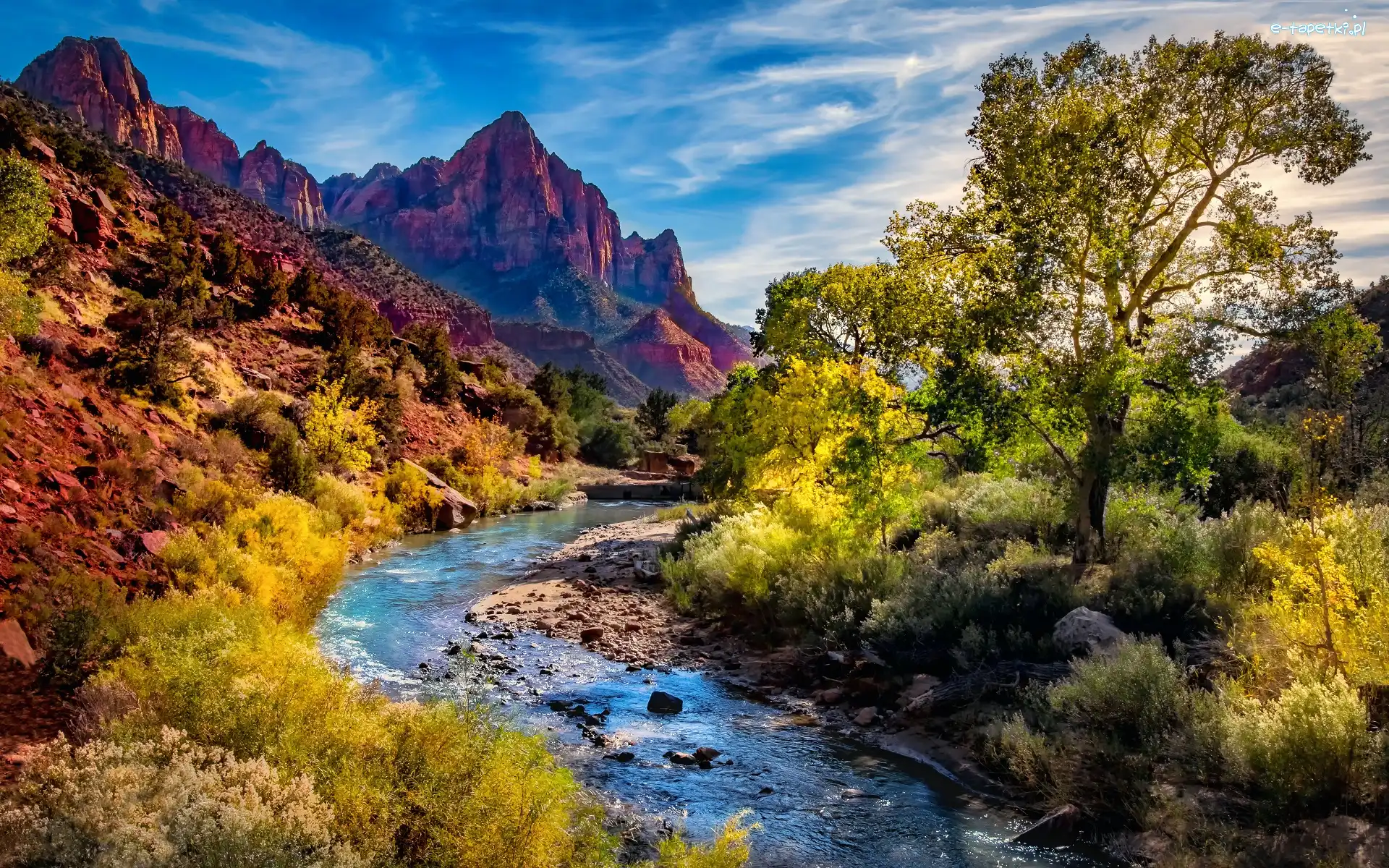 Drzewa, Park Narodowy Zion, Góry Watchman, Stan Utah, Stany Zjednoczone, Kamienie, Rzeka Virgin River
