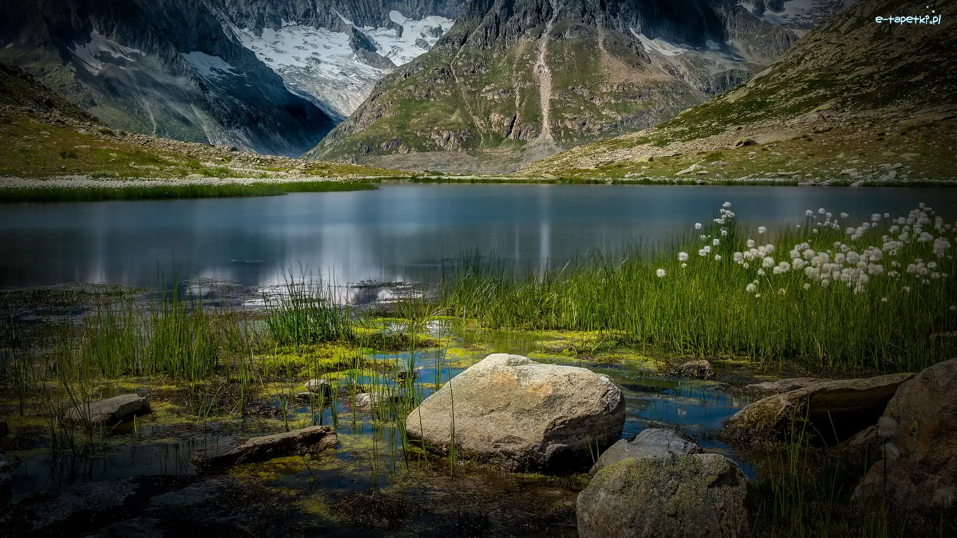 Trawa, Kamienie, Szwajcaria, Kanton Wallis, Rośliny, Góry, Alpy Berneńskie, Jezioro Marjelensee