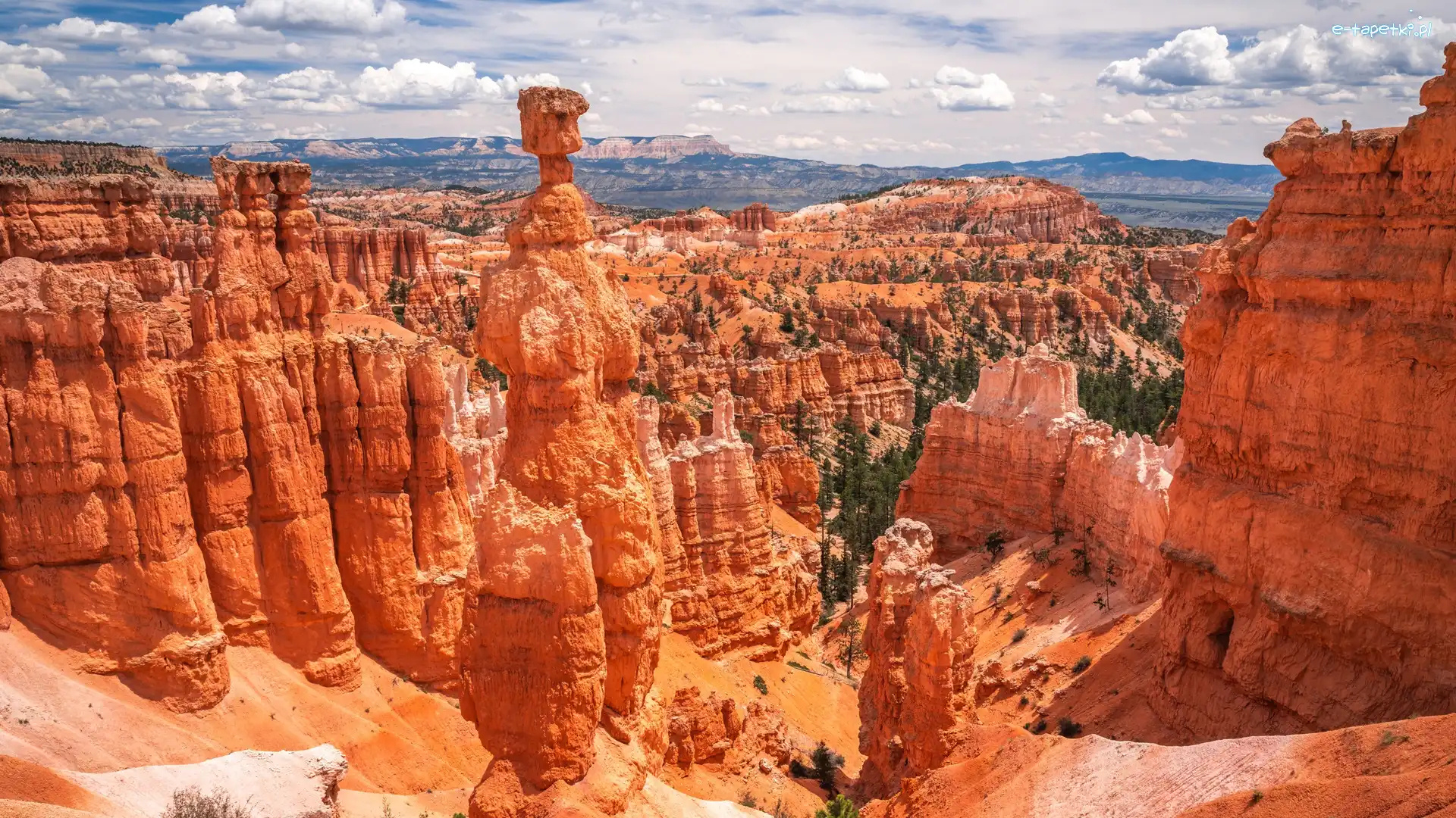 Chmury, Park Narodowy Bryce Canyon, Formacje skalne, Stan Utah, Stany Zjednoczone, Roślinność, Skały