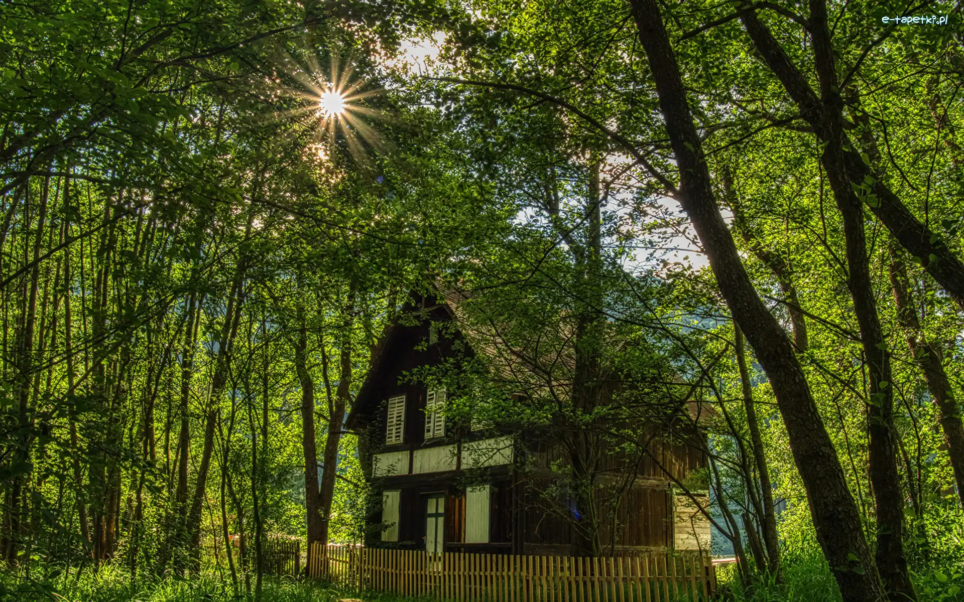 Płot, Promienie słońca, Drzewa, Dom
