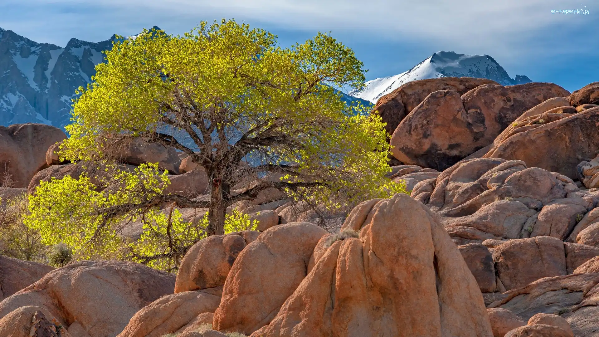 Kalifornia, Słońce, Alabama Hills, Stany Zjednoczone, Góry, Skały
