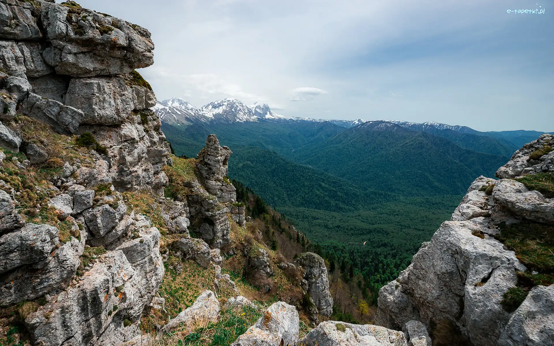 Skały, Trawa, Drzewa, Góry