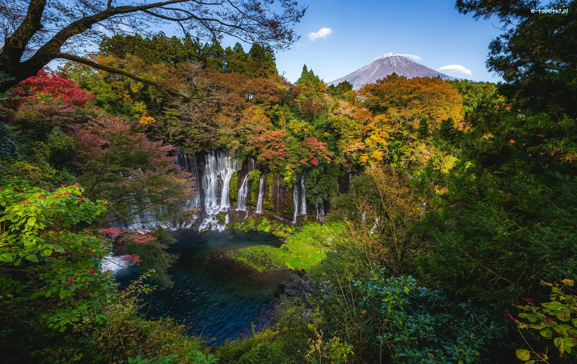 Góra Fudżi, Shizuoka, Roślinność, Drzewa, Park Narodowy Fudżi Hakone Izu, Wodospad Shiraito, Rzeka, Japonia