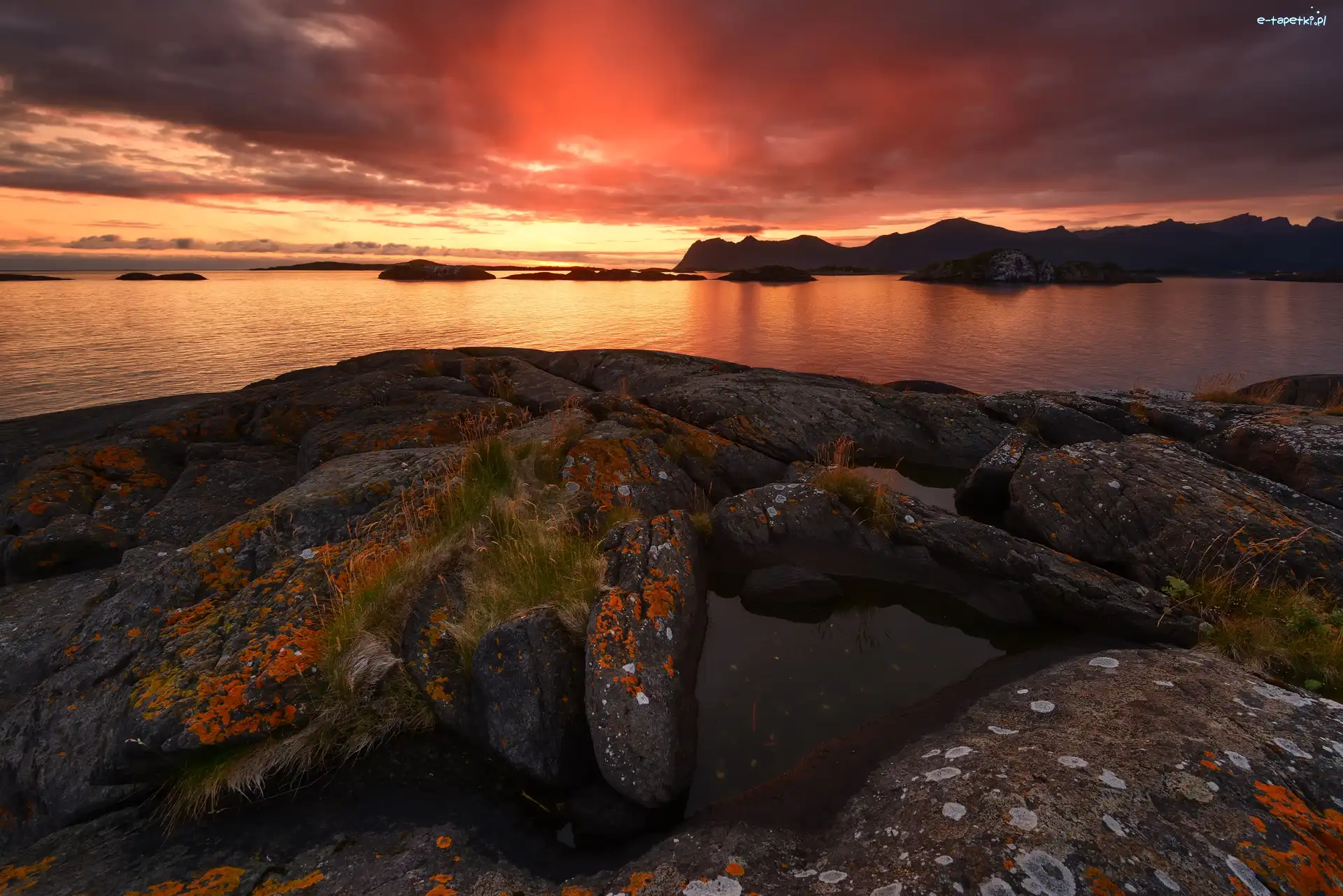 Wyspa Senja, Skały, Rośliny, Norwegia, Morze, Zachód słońca