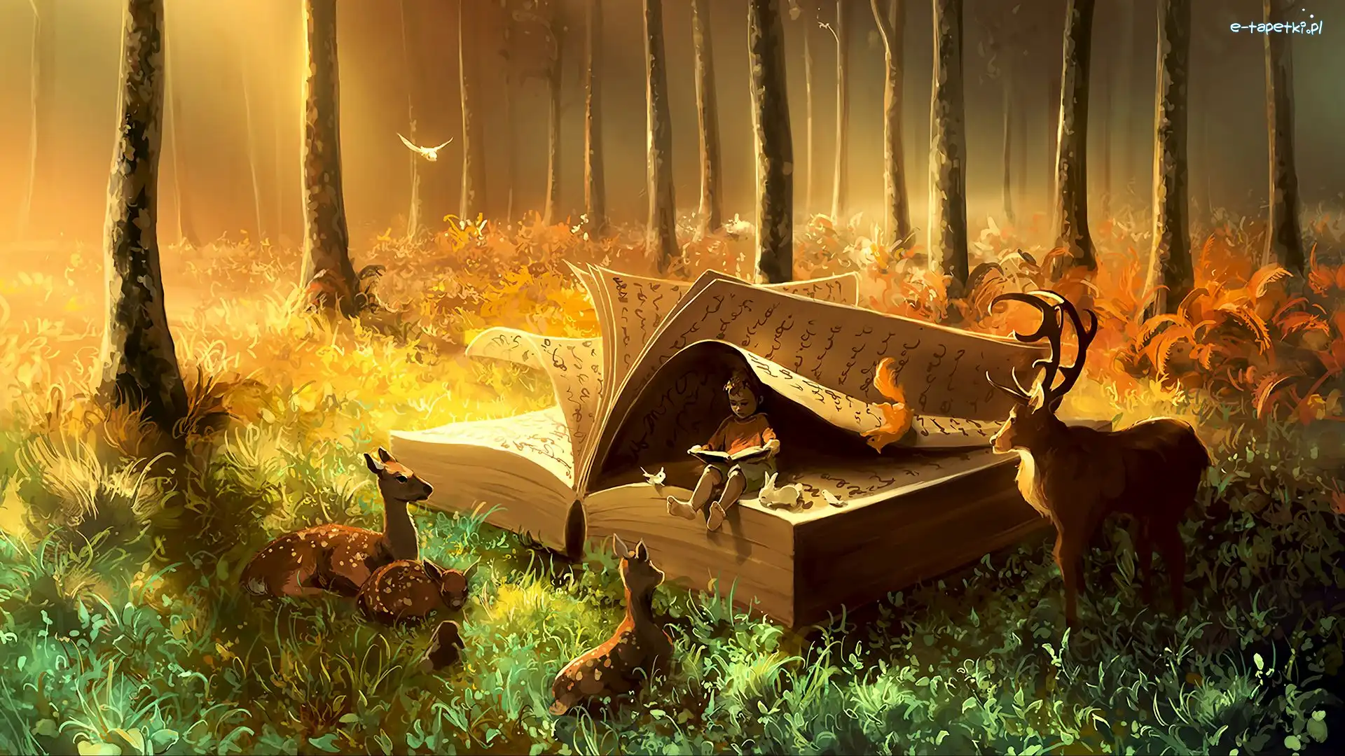 Zające, Las, Książka, Trawa, Fantasy, Ptaki, Wiewiórka, Dziecko, Jelenie, Drzewa, Czytające