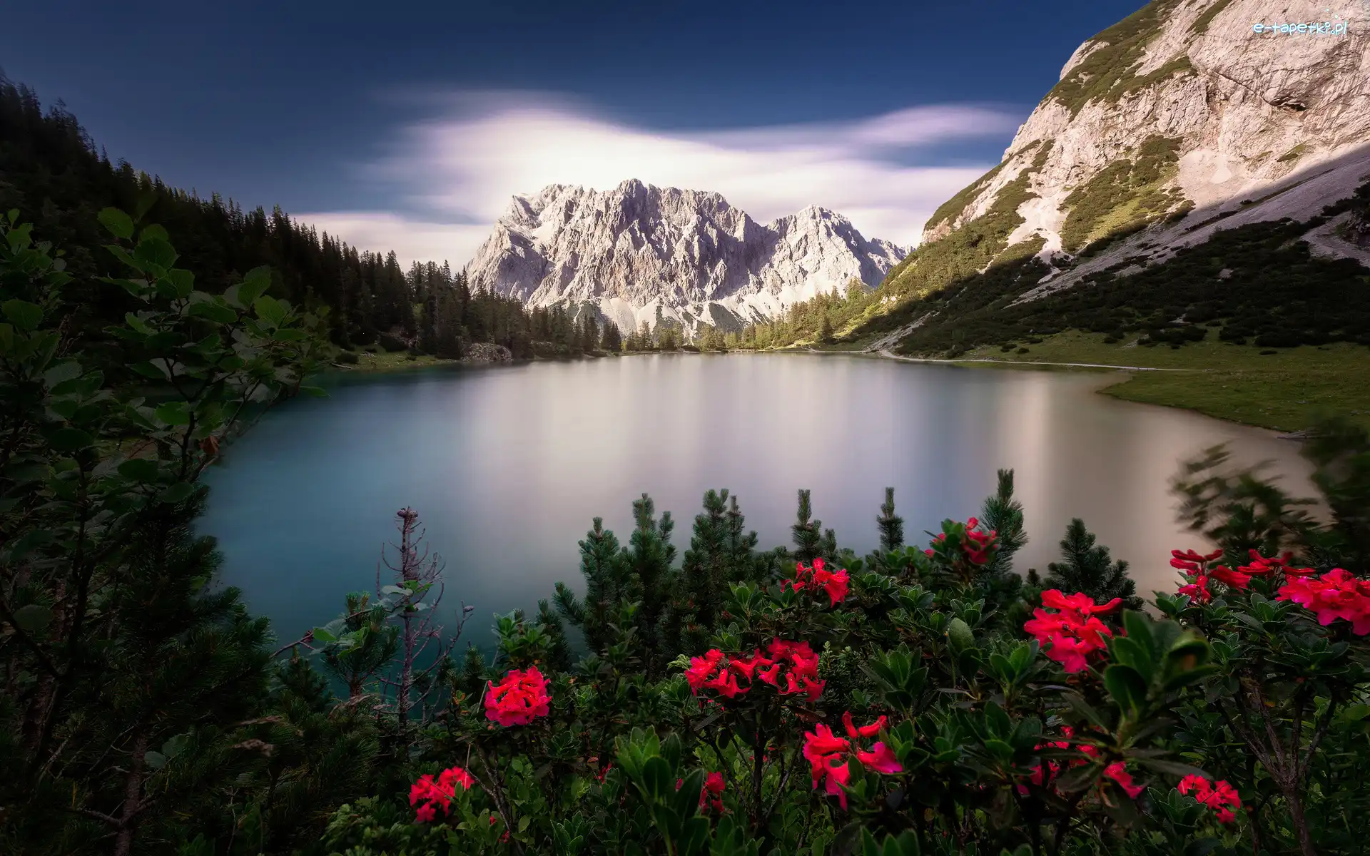 Austria, Alpy, Pasmo Mieming, Góry, Jezioro Sebensee, Tyrol, Kwiaty