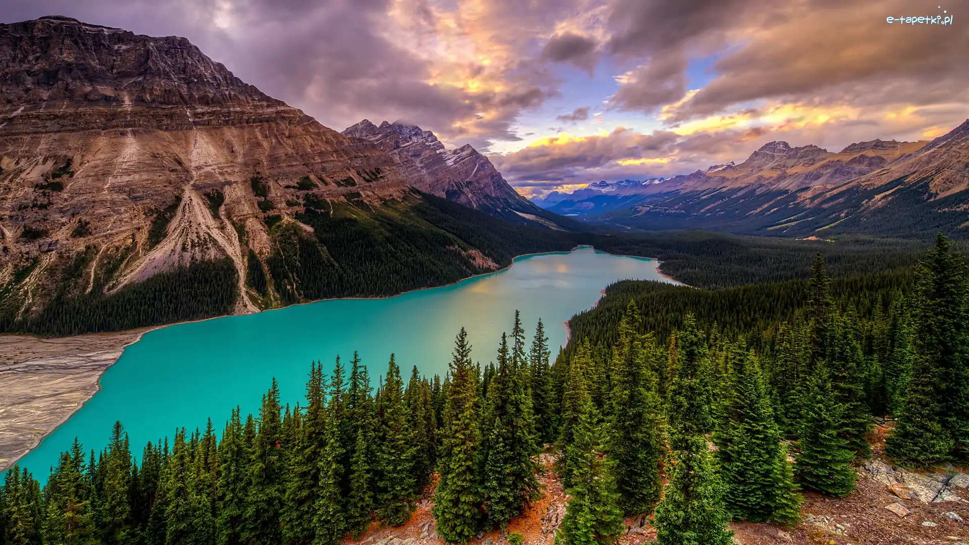 Drzewa, Lasy, Chmury, Canadian Rockies, Góry, Kanada, Alberta, Jezioro Peyto Lake, Park Narodowy Banff