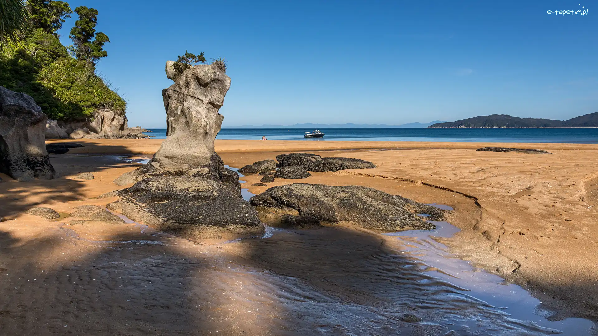 Morze, Totaranui Camping Area, Nowa Zelandia, Tasmania, Wybrzeże, Skały, Park Narodowy Abel Tasman, Plaża