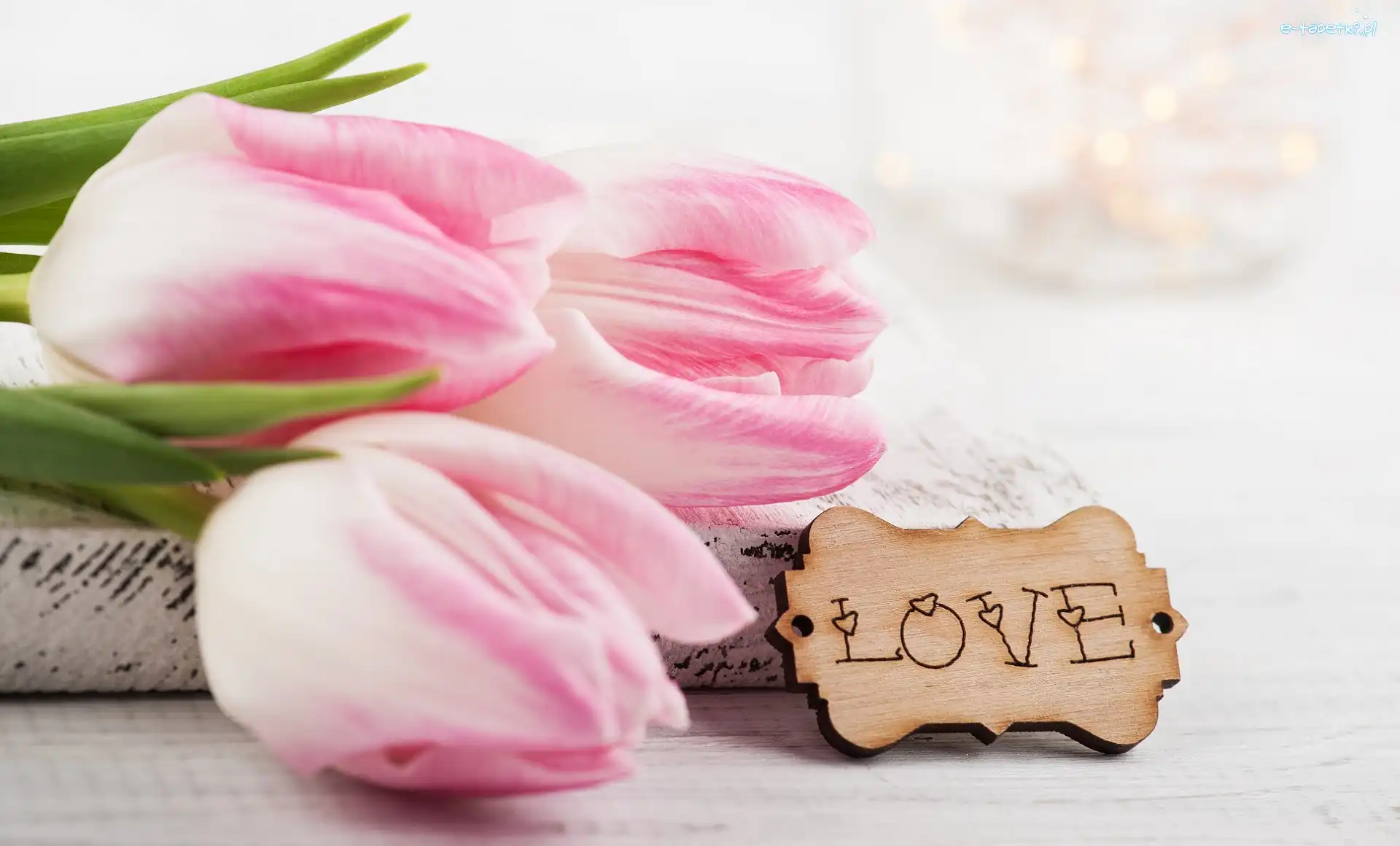 Miłość, Tulipany, Tabliczka, Bladoróżowe, Trzy, Love, Napis