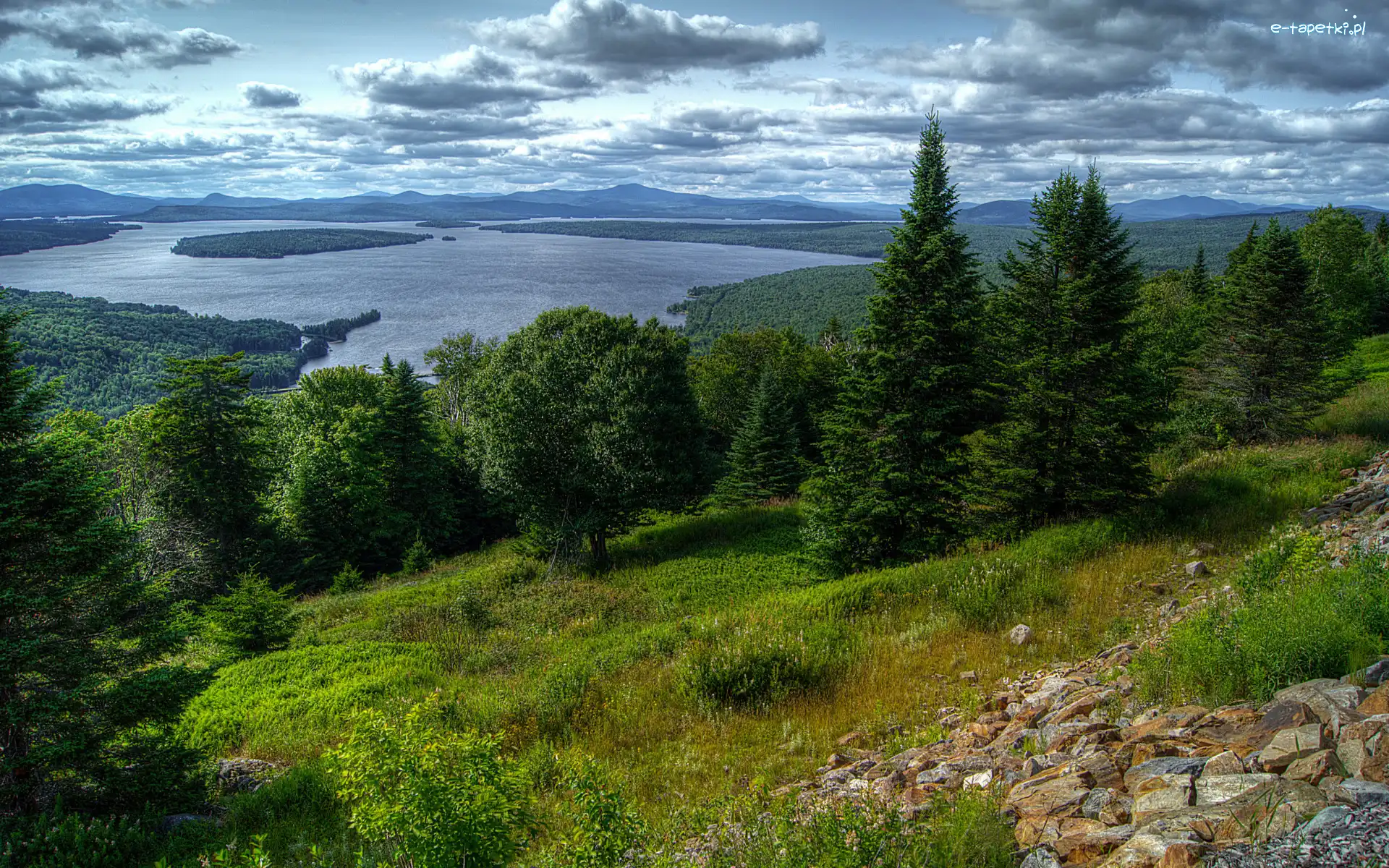 Mooselookmeguntic Lake, Las, Stany Zjednoczone, Jezioro, Kamienie, Stok, Rośliny, Chmury, Drzewa, Stan Maine