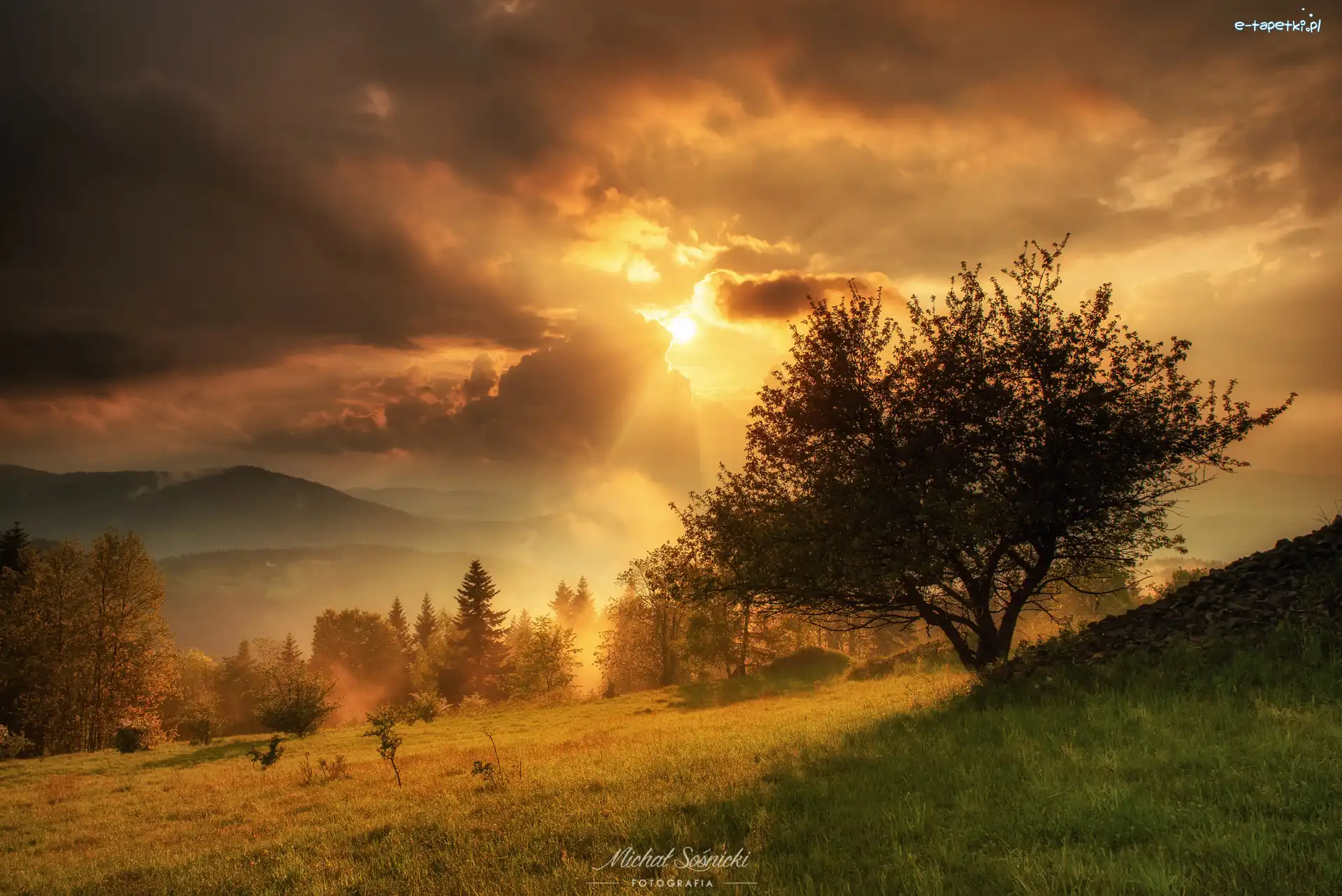 Beskidy, Góry, Zachód słońca, Polska, Polana, Drzewo