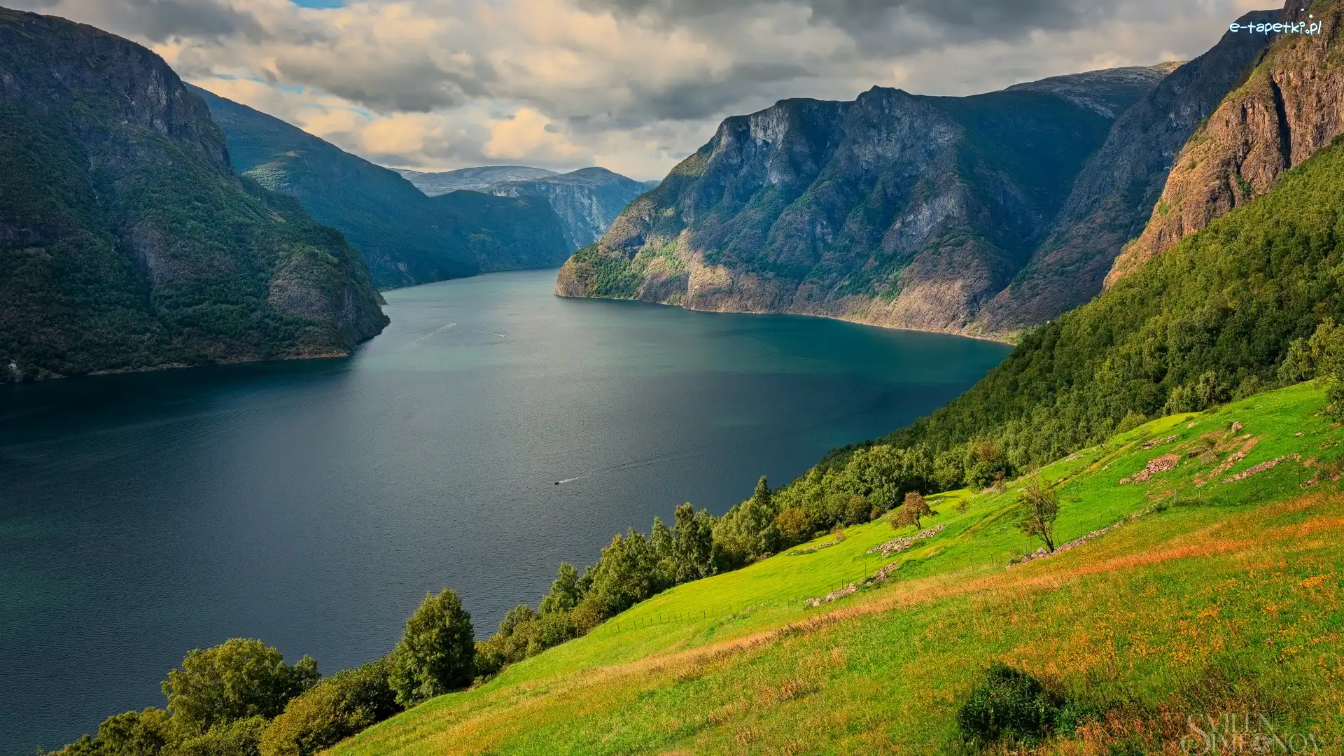 Góry, Wzgórze, Norwegia, Gmina Aurland, Drzewa, Fiord, Aurlandsfjord, Zielone