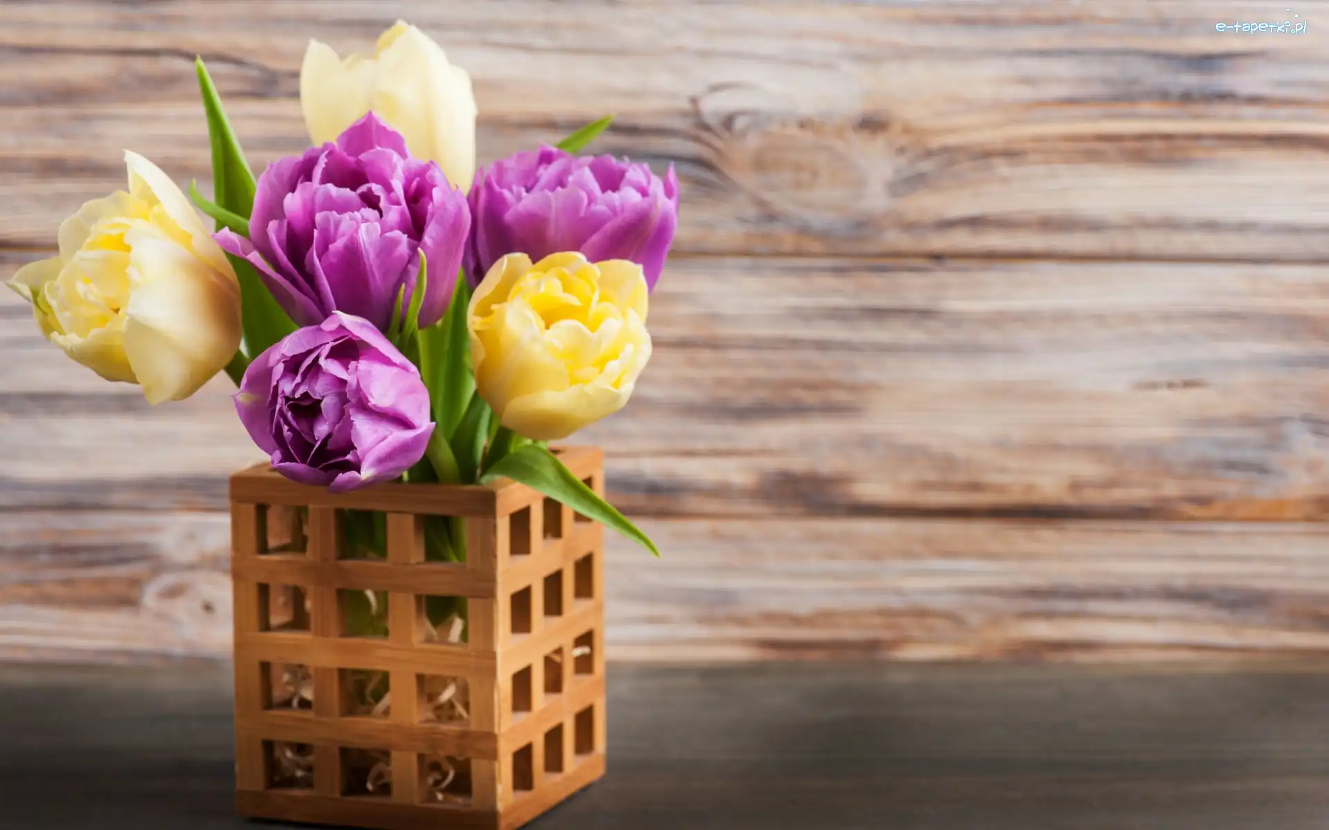 Tulipany, Pojemnik, Drewniany, Bukiet