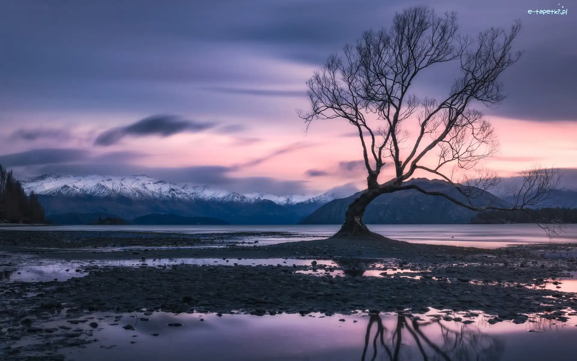 Jezioro Wanaka, Góry, Zima, Nowa Zelandia, Drzewo, Bezlistne