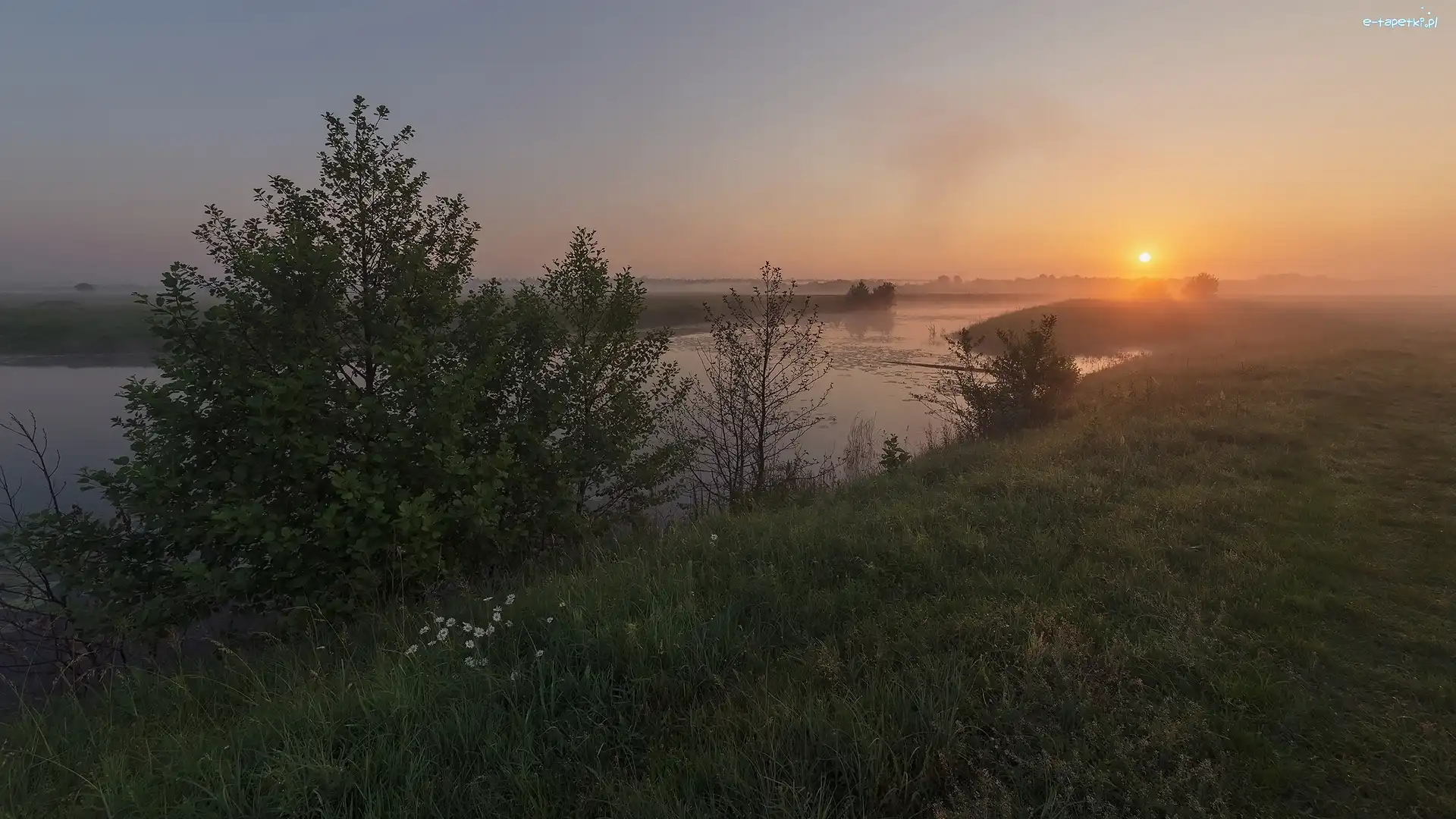 Rzeka, Drzewa, Mgła, Zachód słońca, Trawa