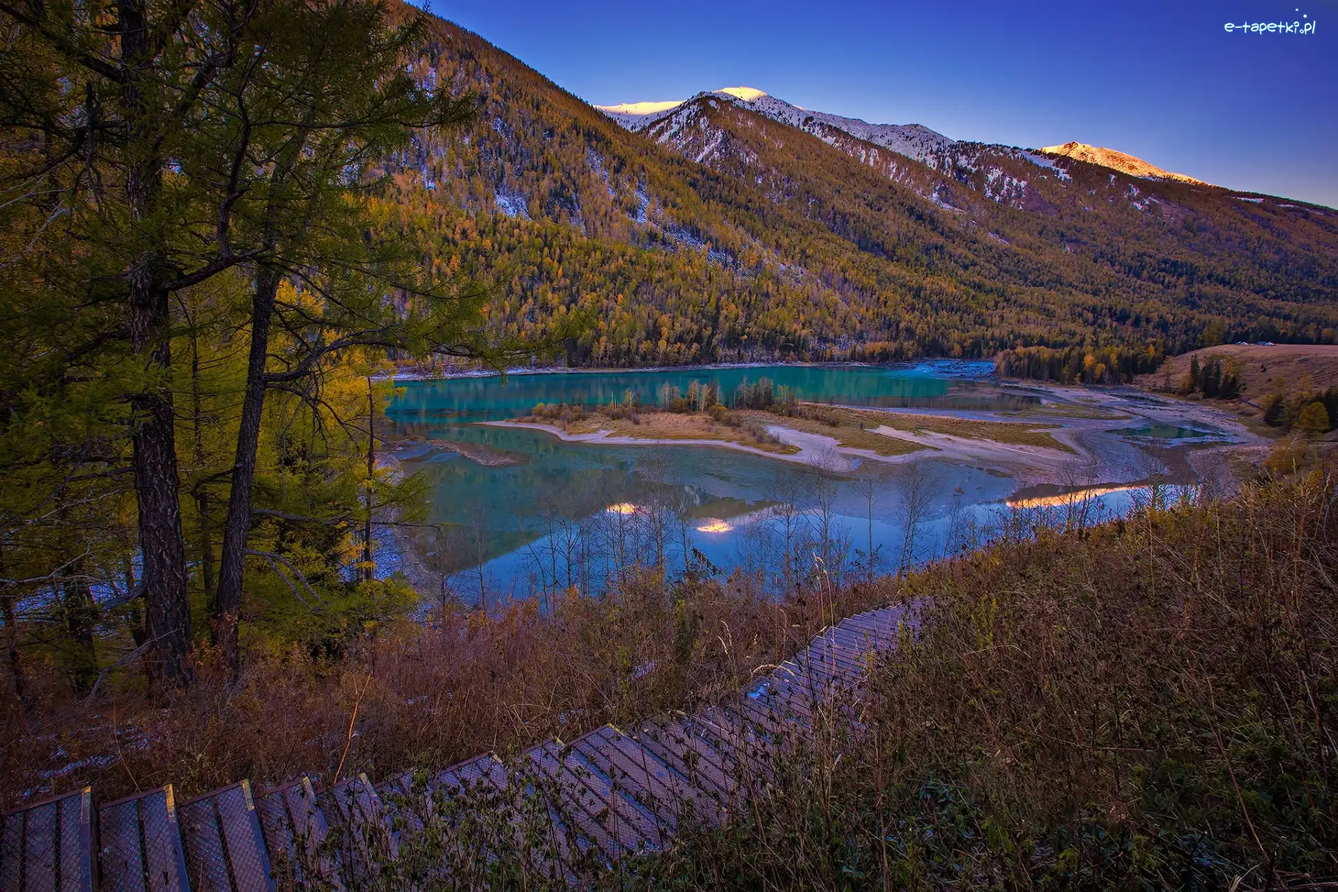 Drzewa, Okręg Burqin, Jezioro, Hrabstwo Xinjiang, Chiny, Góry, Kanas Lake
