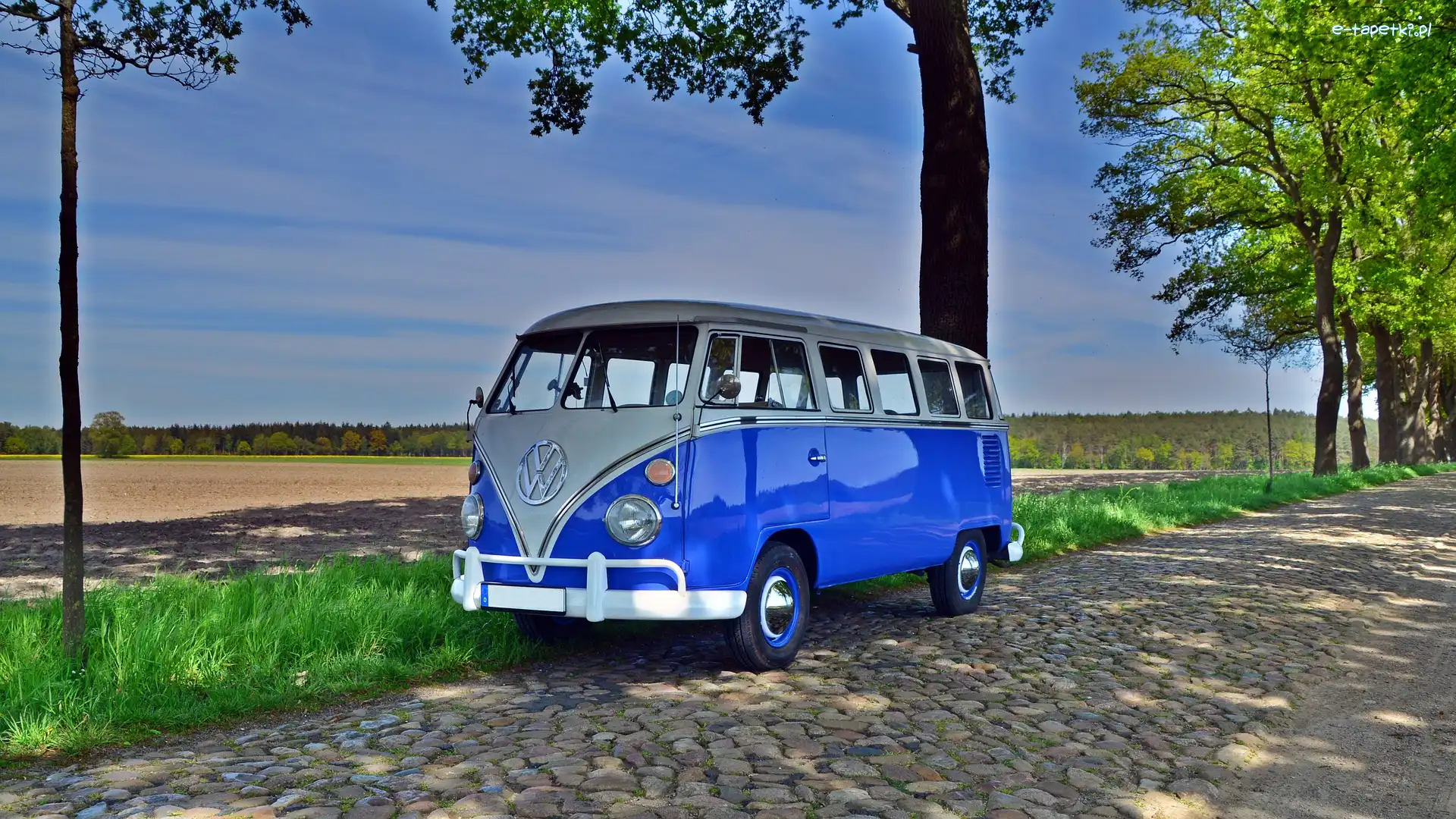 Volkswagen Transporter T1, Zabytkowy, Niebieski
