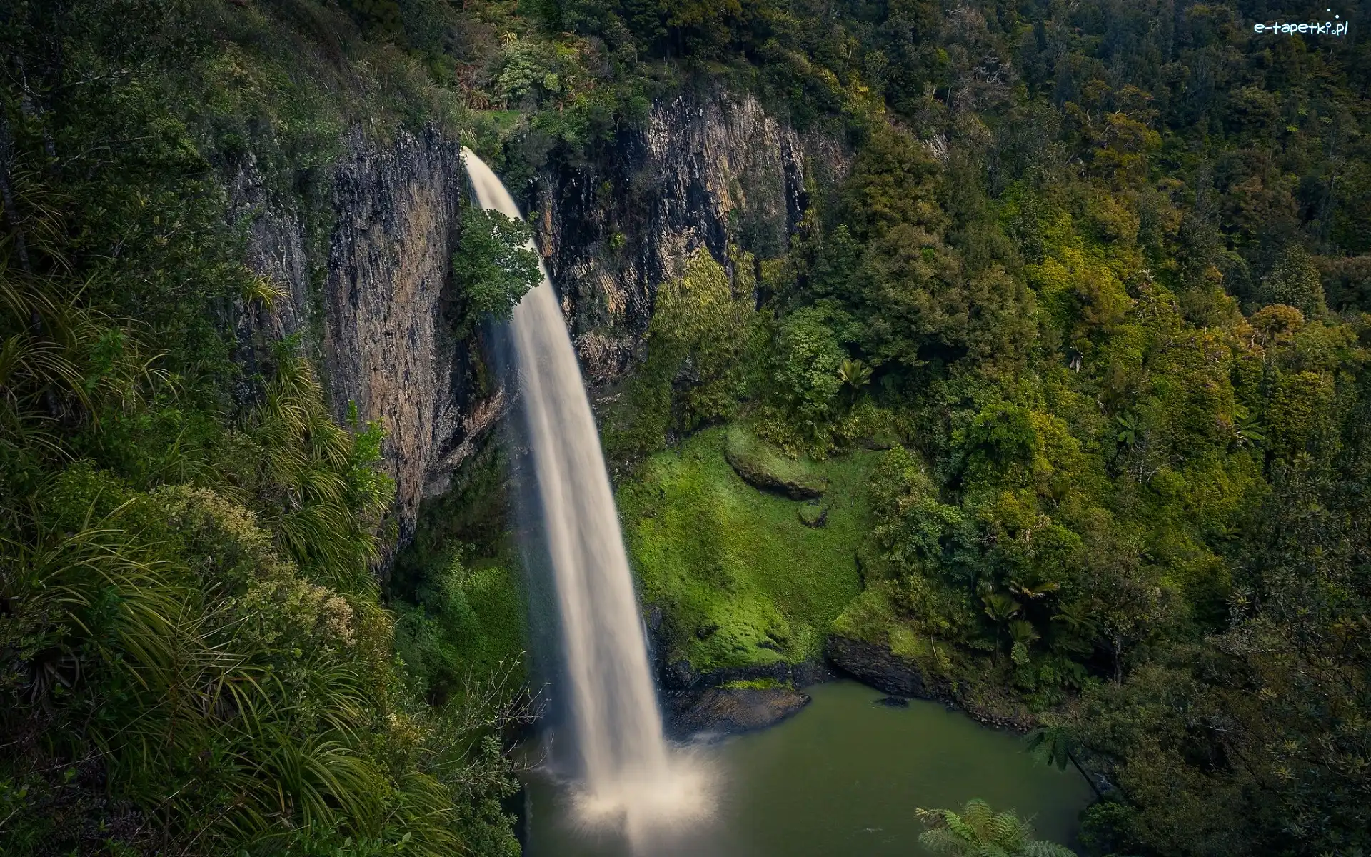 Pakoka River, Rzeka, Wodospad, Region Waikato, Nowa Zelandia, Drzewa, Las, Bridal Veil Falls, Skały
