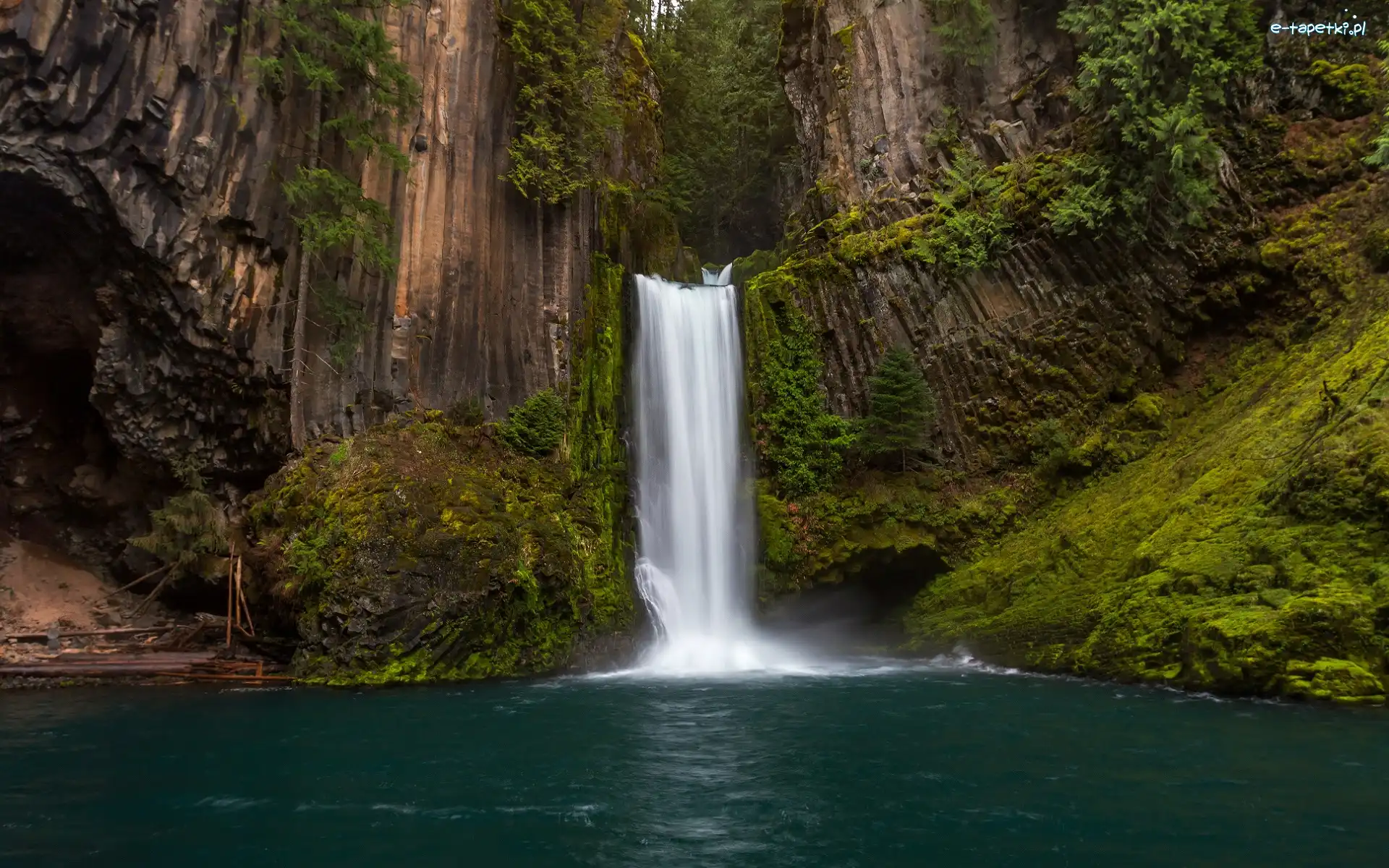 Rzeka, Toketee Falls, Hrabstwo Douglas, Stan Oregon, Stany Zjednoczone, Roślinność, Skały, Wodospad, North Umpqua River